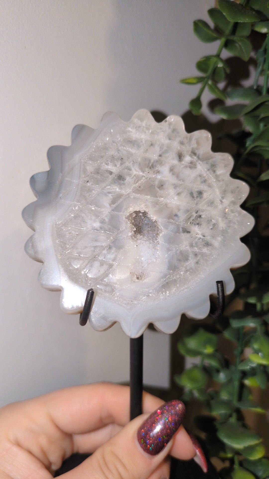 Druzy agate sunflower (B) ✨