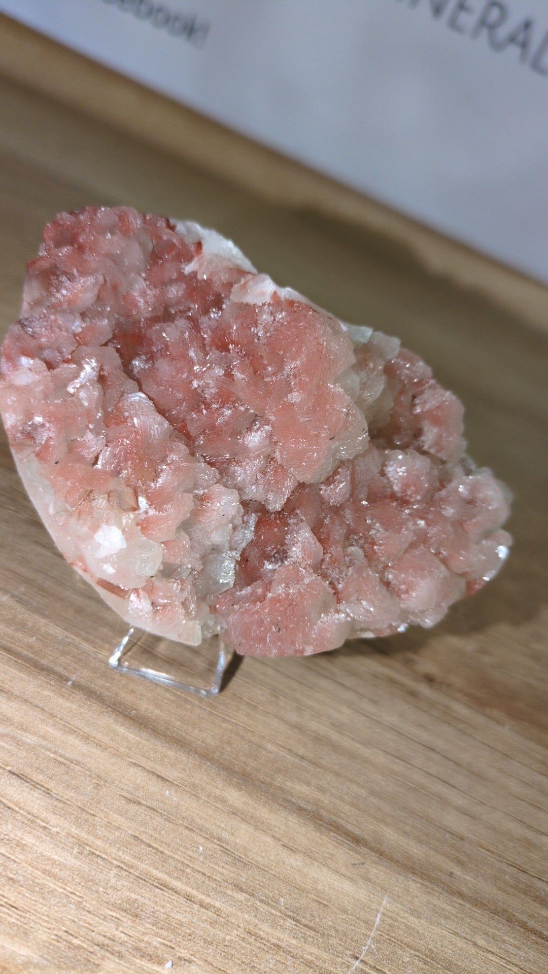 Sugar Bloom apophylite ✨