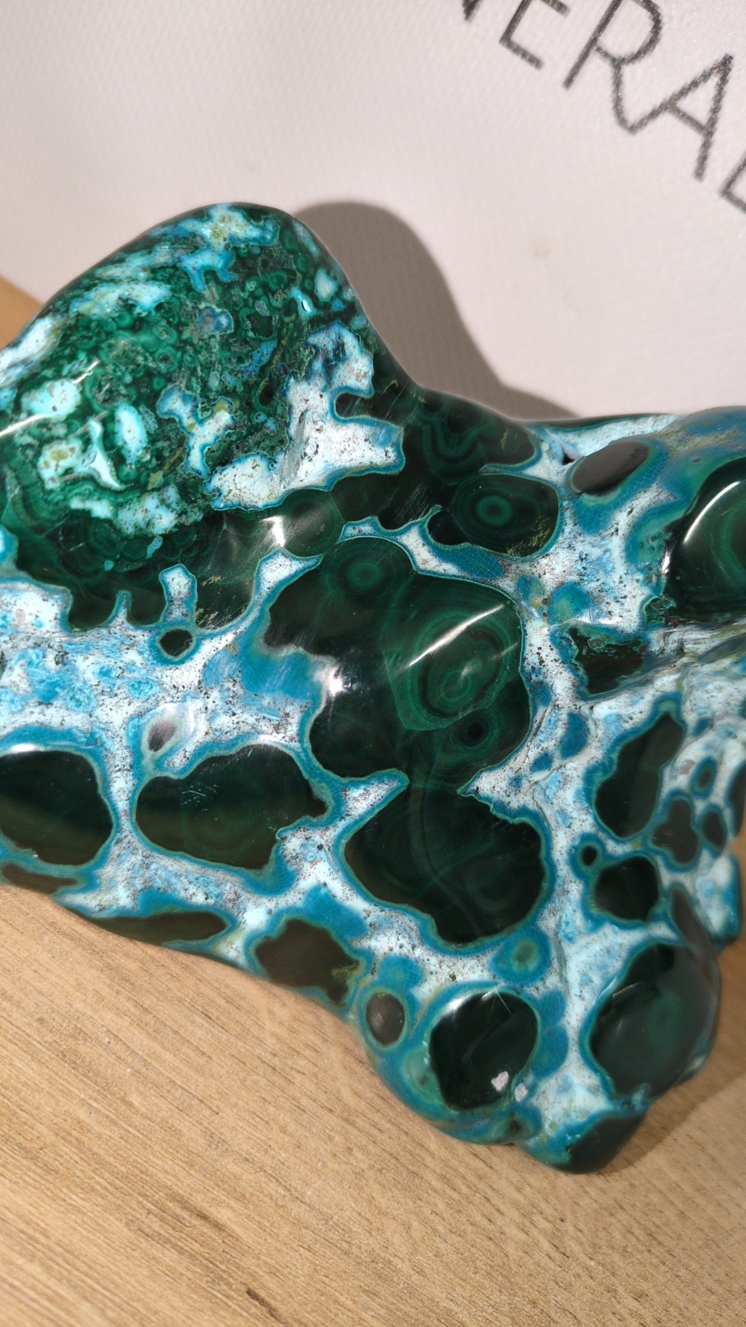 Malacolla statement piece
