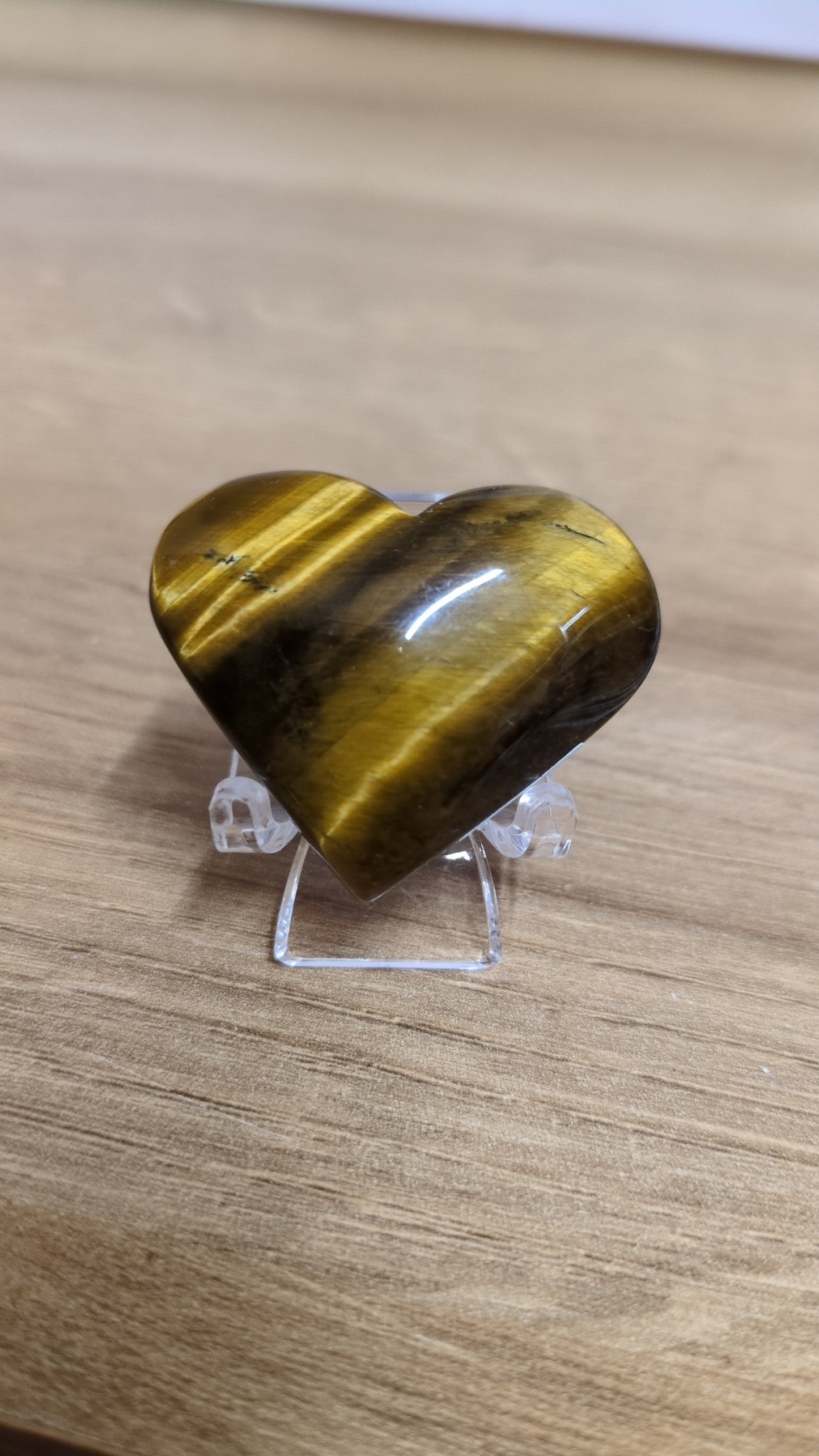 Golden tiger eye ✨