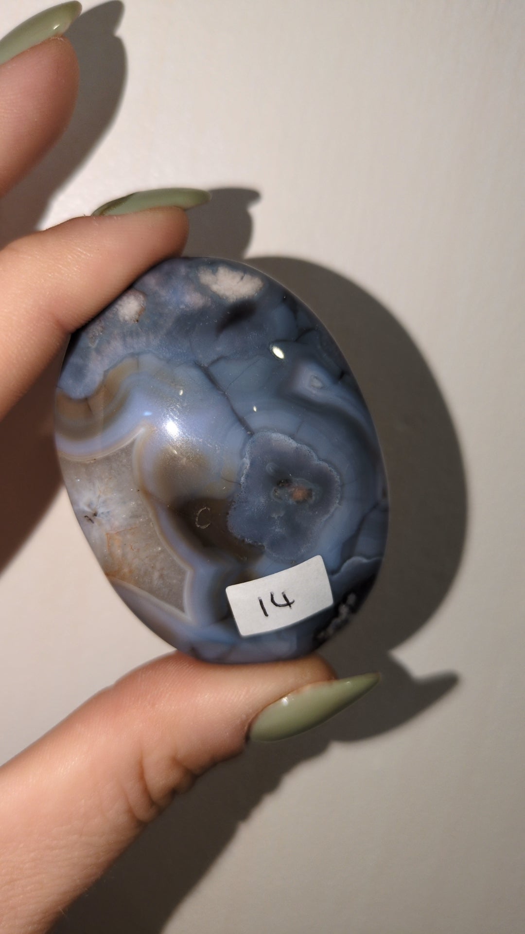 Blue flower agate palm ✨