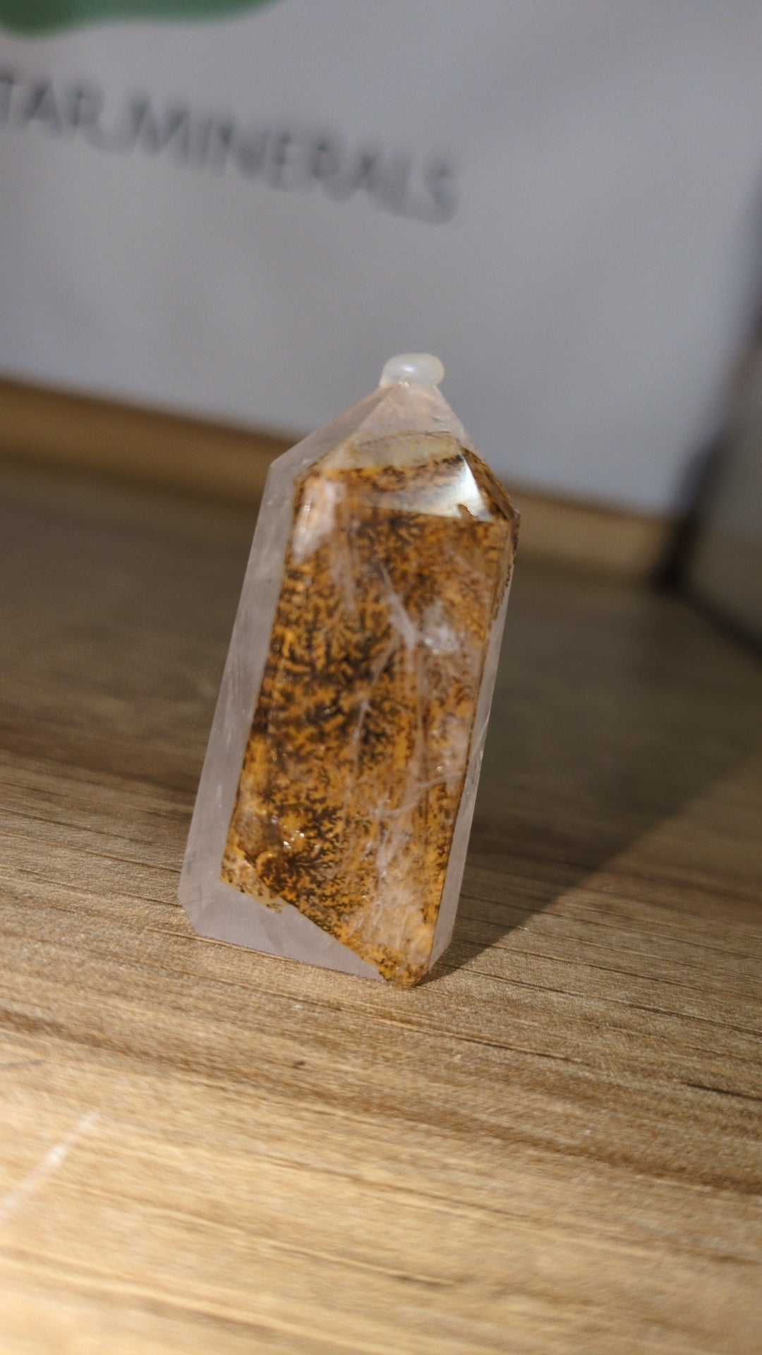 Dentric/ golden healer (C)