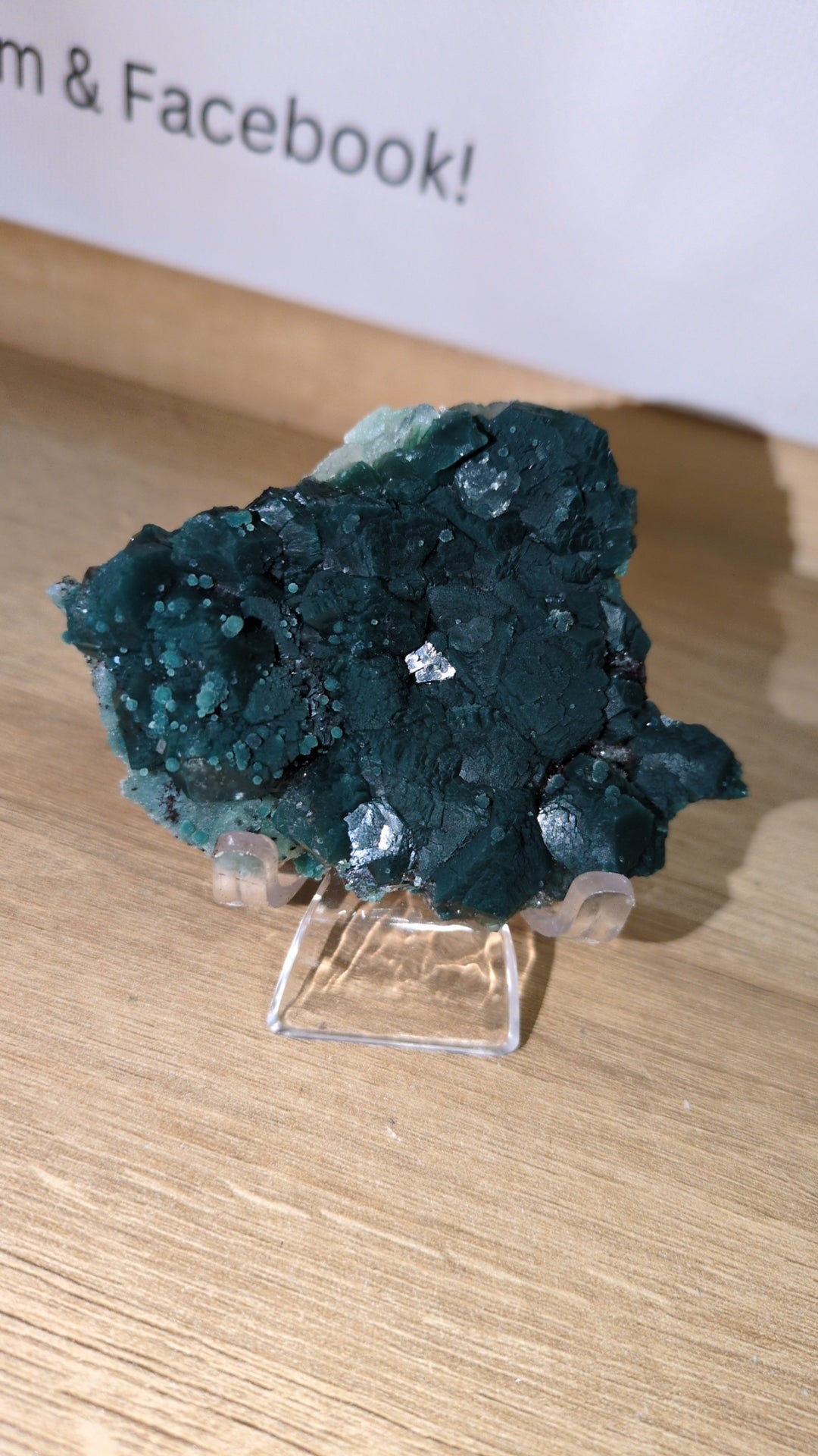 Marshy Apophyllite, celadonite Included✨