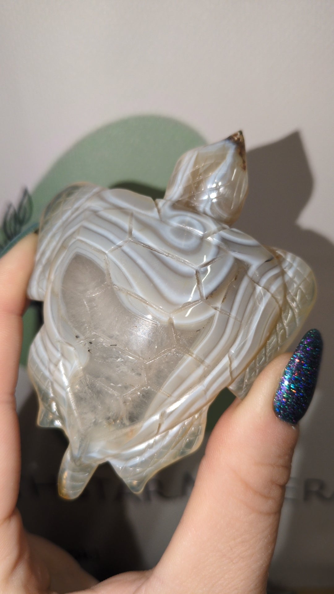 Agate turtle.