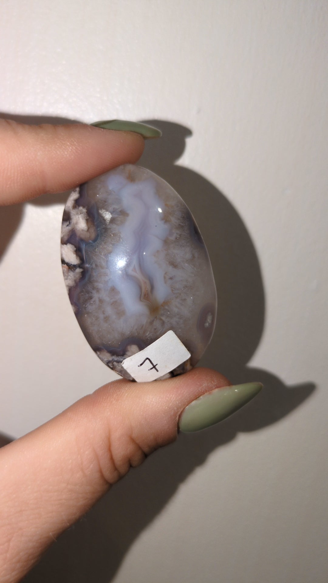 Blue Flower agate palm ✨
