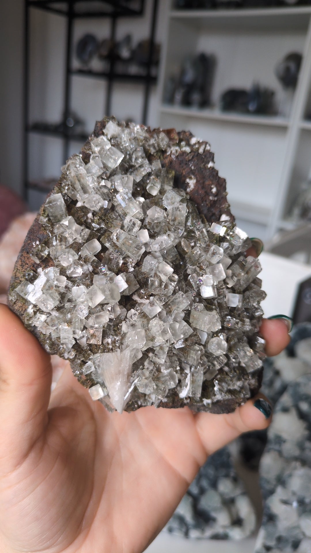 Forest Apophyllite ✨