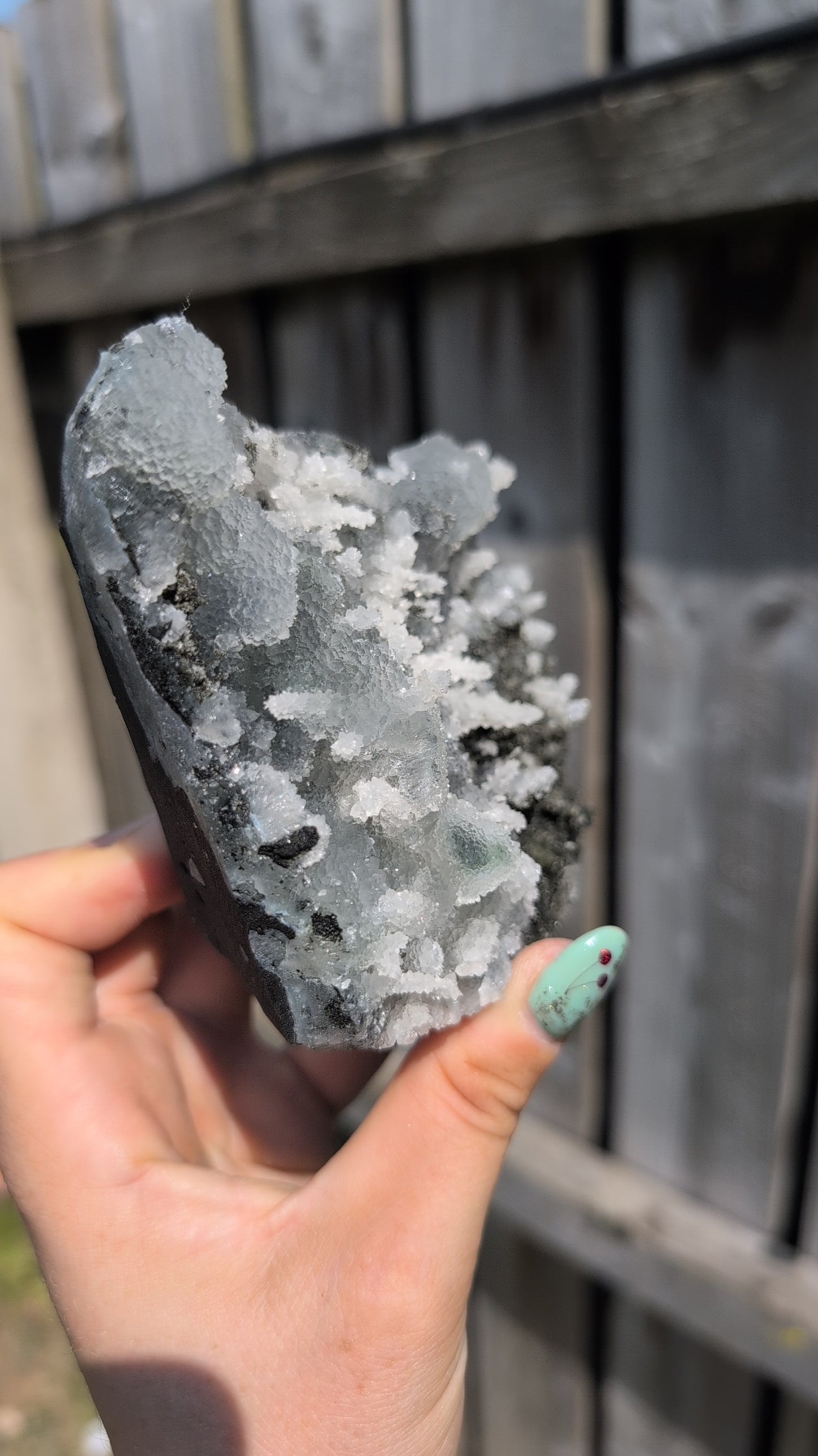 Black forest Apophyllite ✨ X