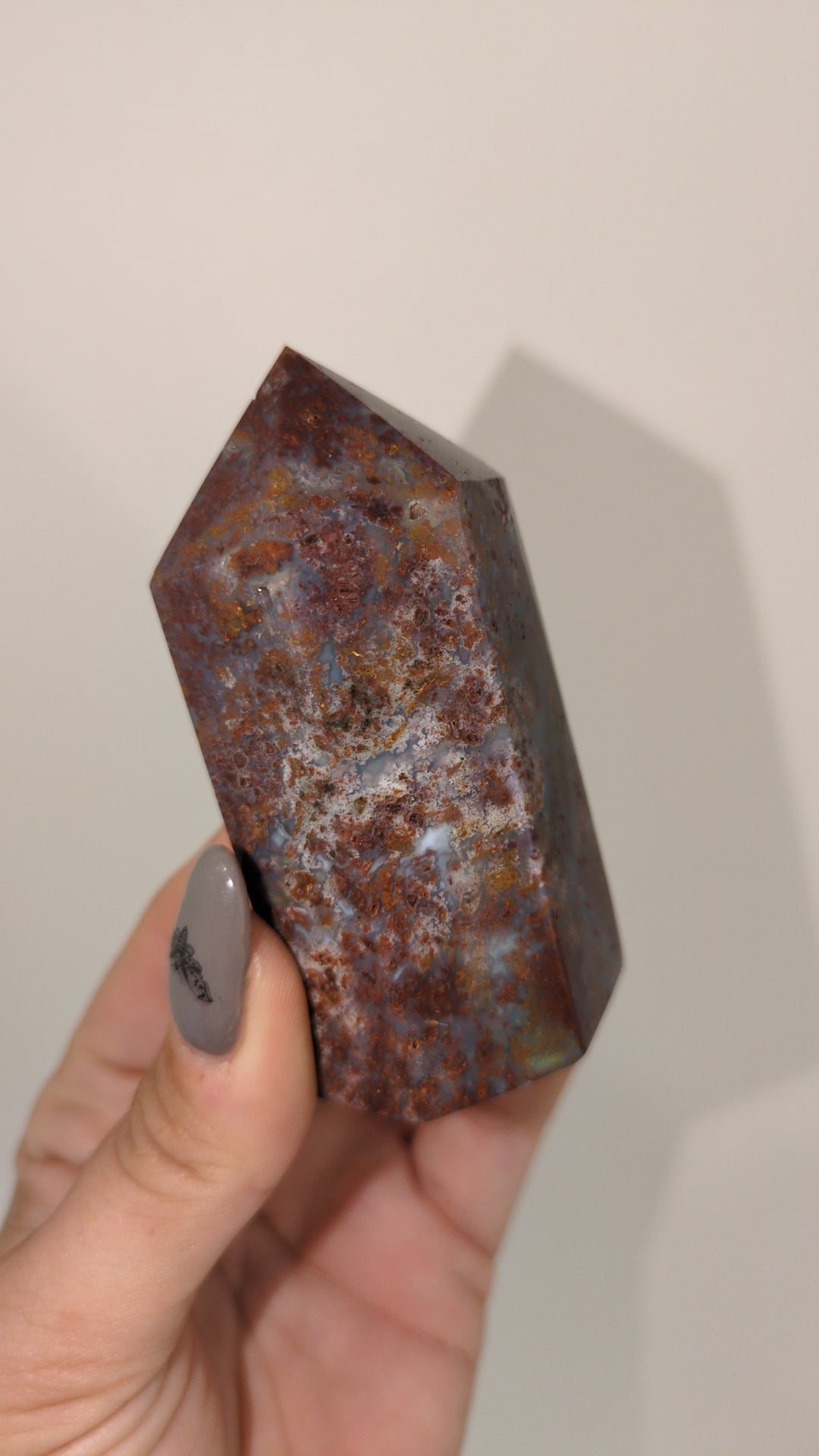 Jasper from Brazil ✨ (P)