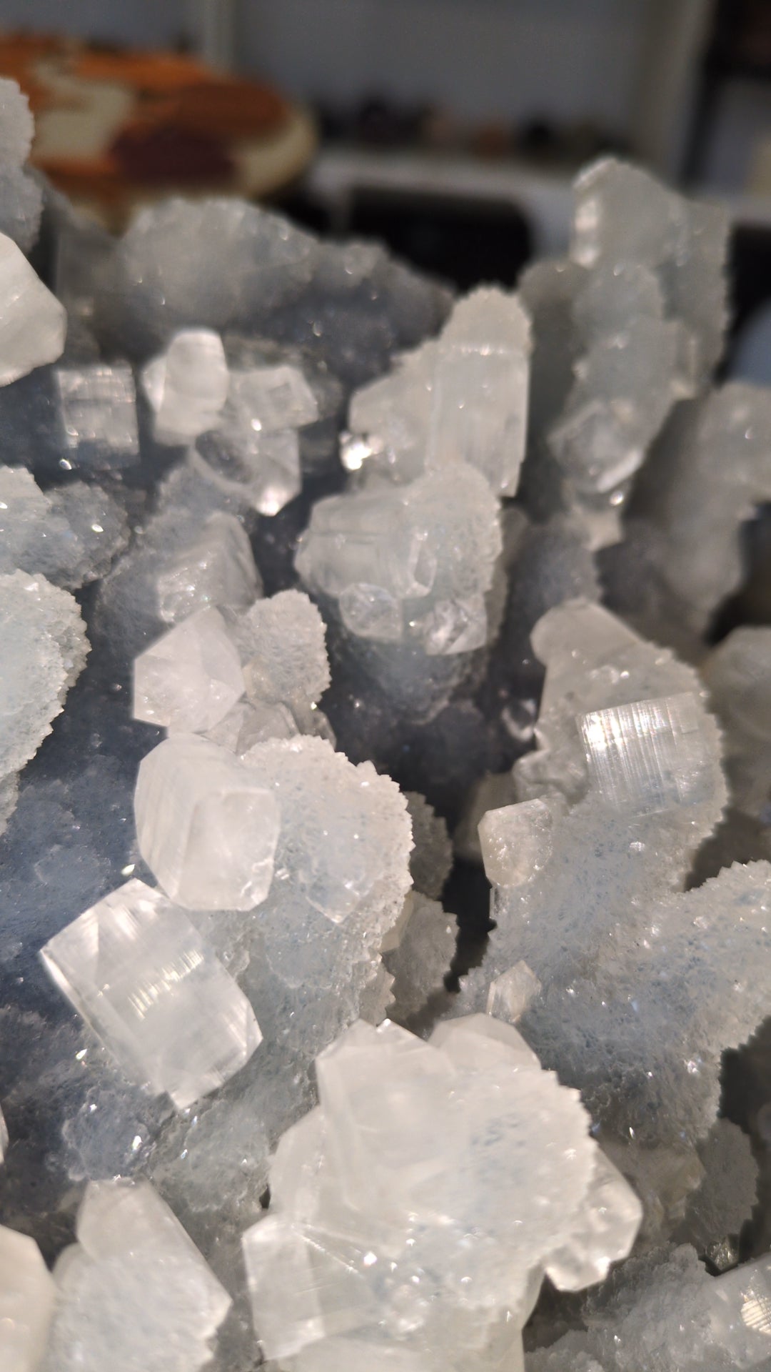 Apophyllite on blue chalcedony ✨ X