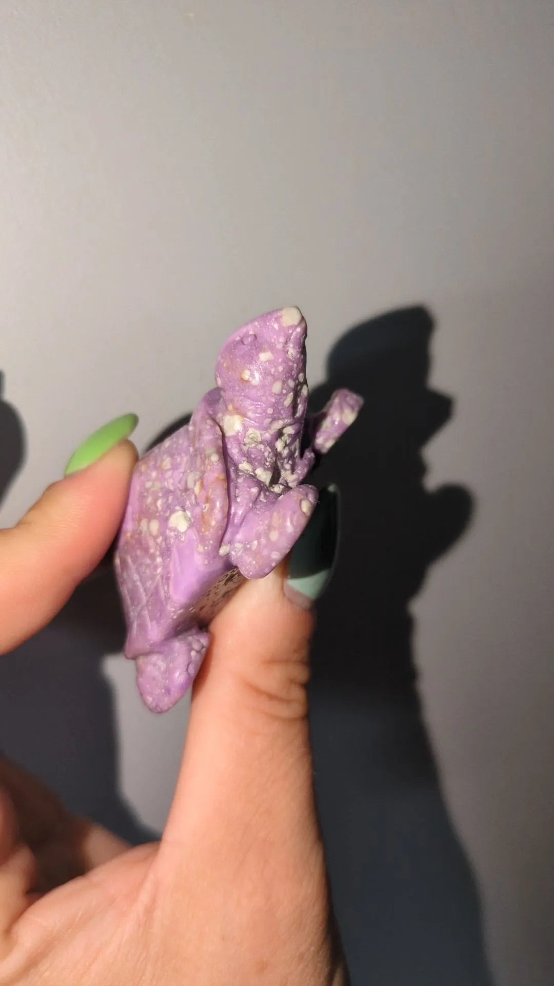 Phosphosiderite Tortoise 🐢
