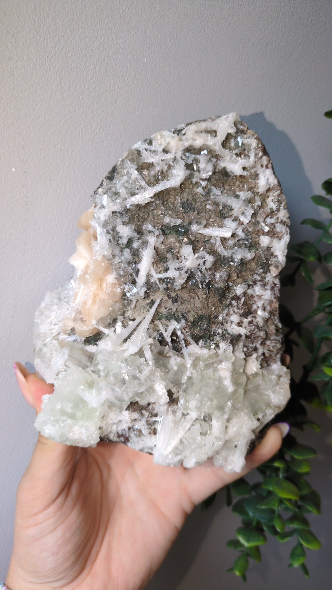 Scolecite Sprayed Apophyllite ✨ India ✨