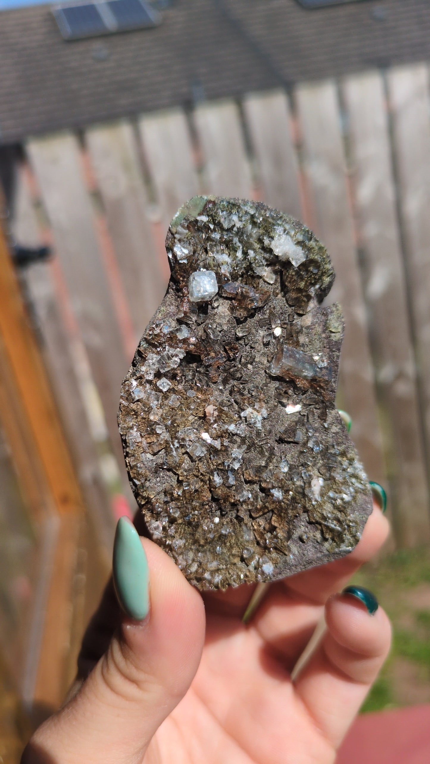 Forest Apophyllite ✨ O