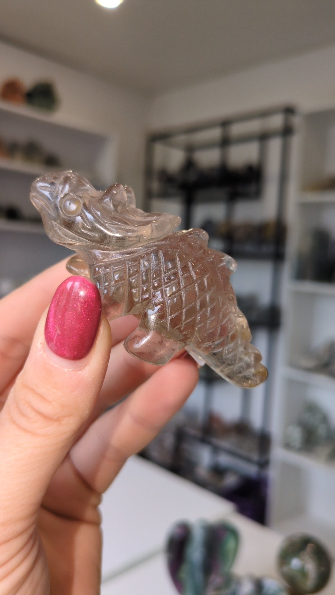 Smokey quartz dinosaur ✨