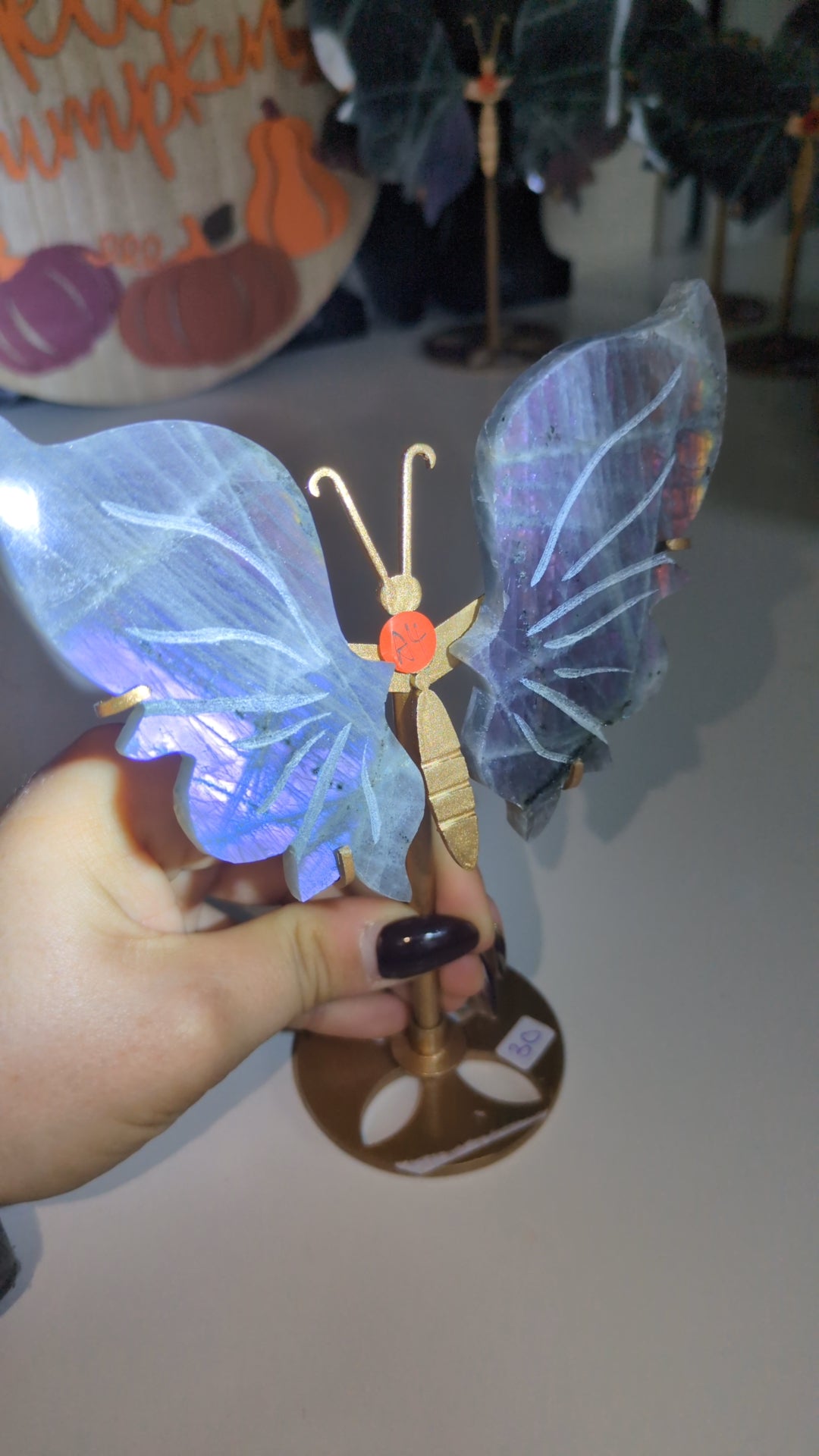 Labradorite wings ( set A4) ✨