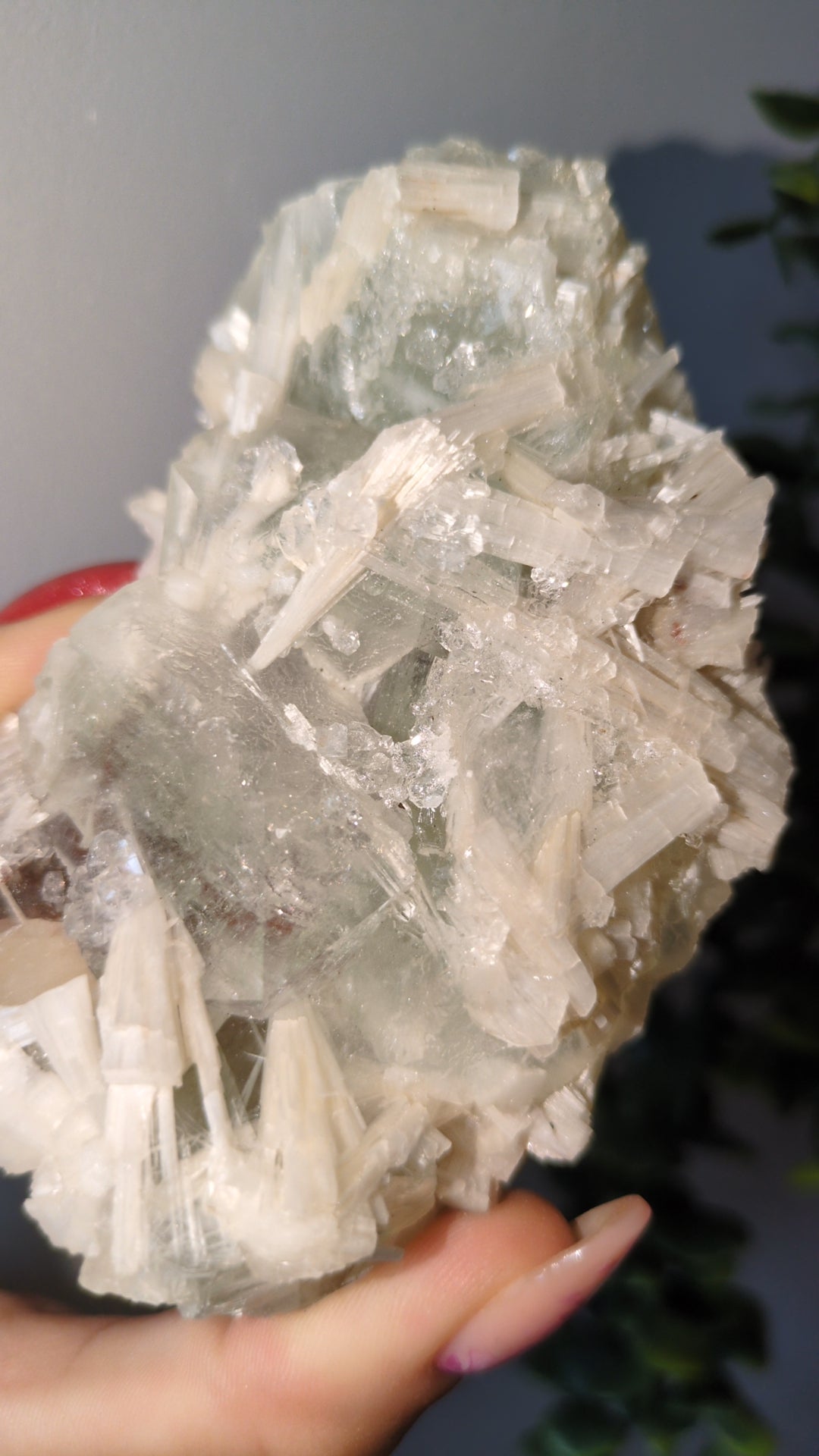 Scolecite Sprayed Apophyllite ✨