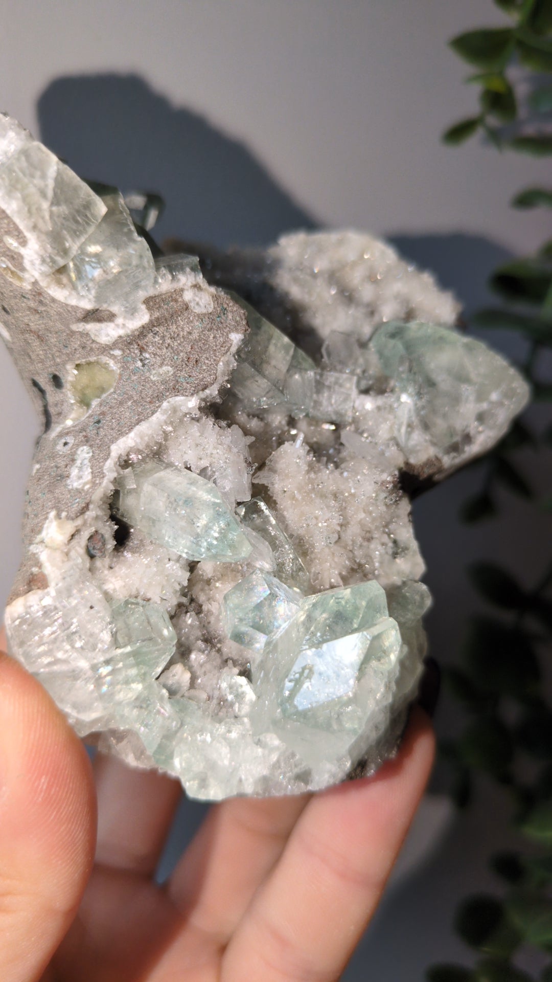 Icy Mint Apophyllite ✨ S