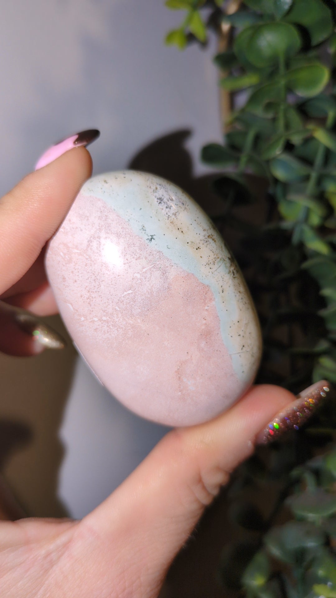 Unicorn jasper palm ✨ F