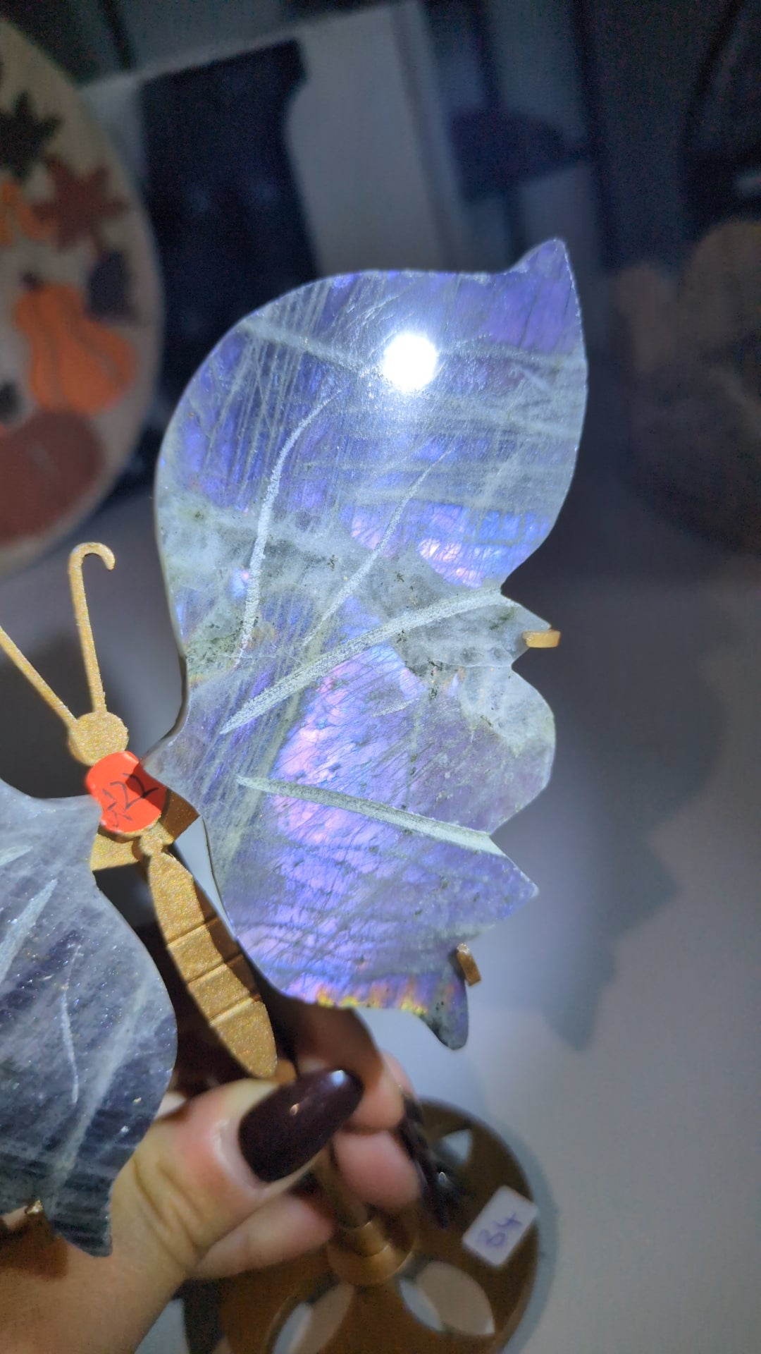 Labradorite wings set ( a22) ✨