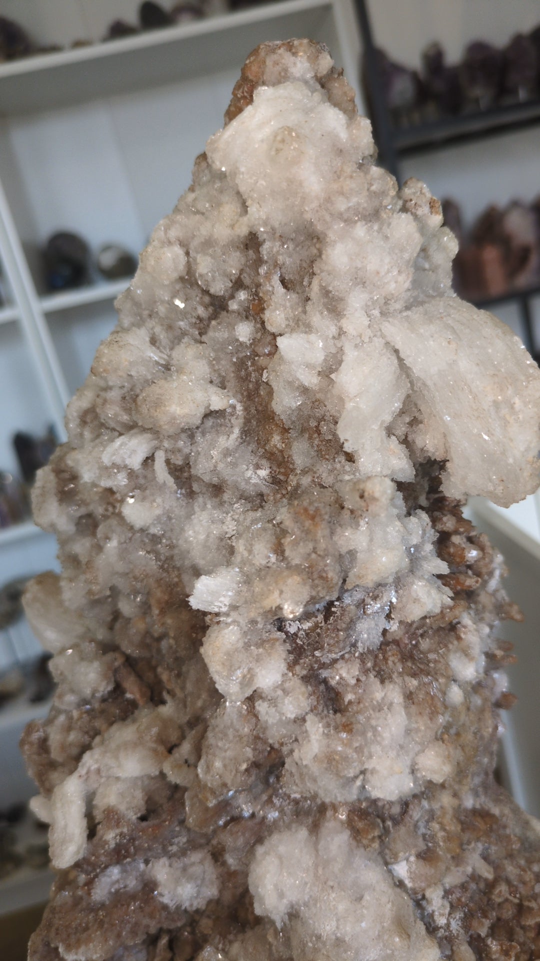 XXL raw selenite piece ✨