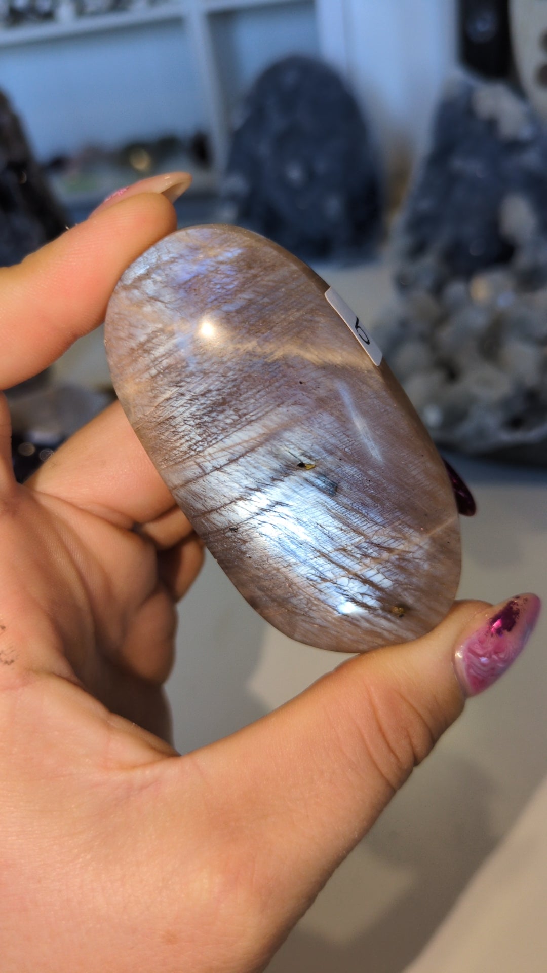 Moonstone/ sunstone palm ✨