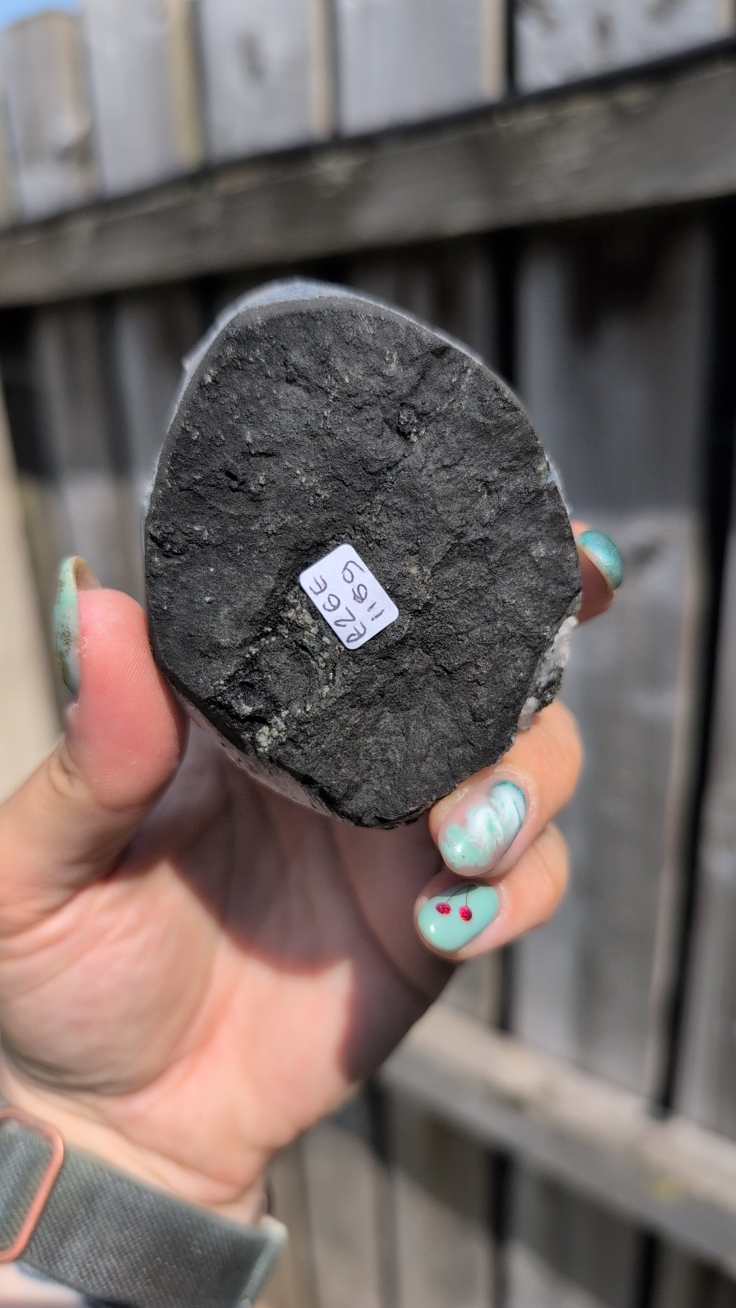 Black Forest apophyllite ✨E