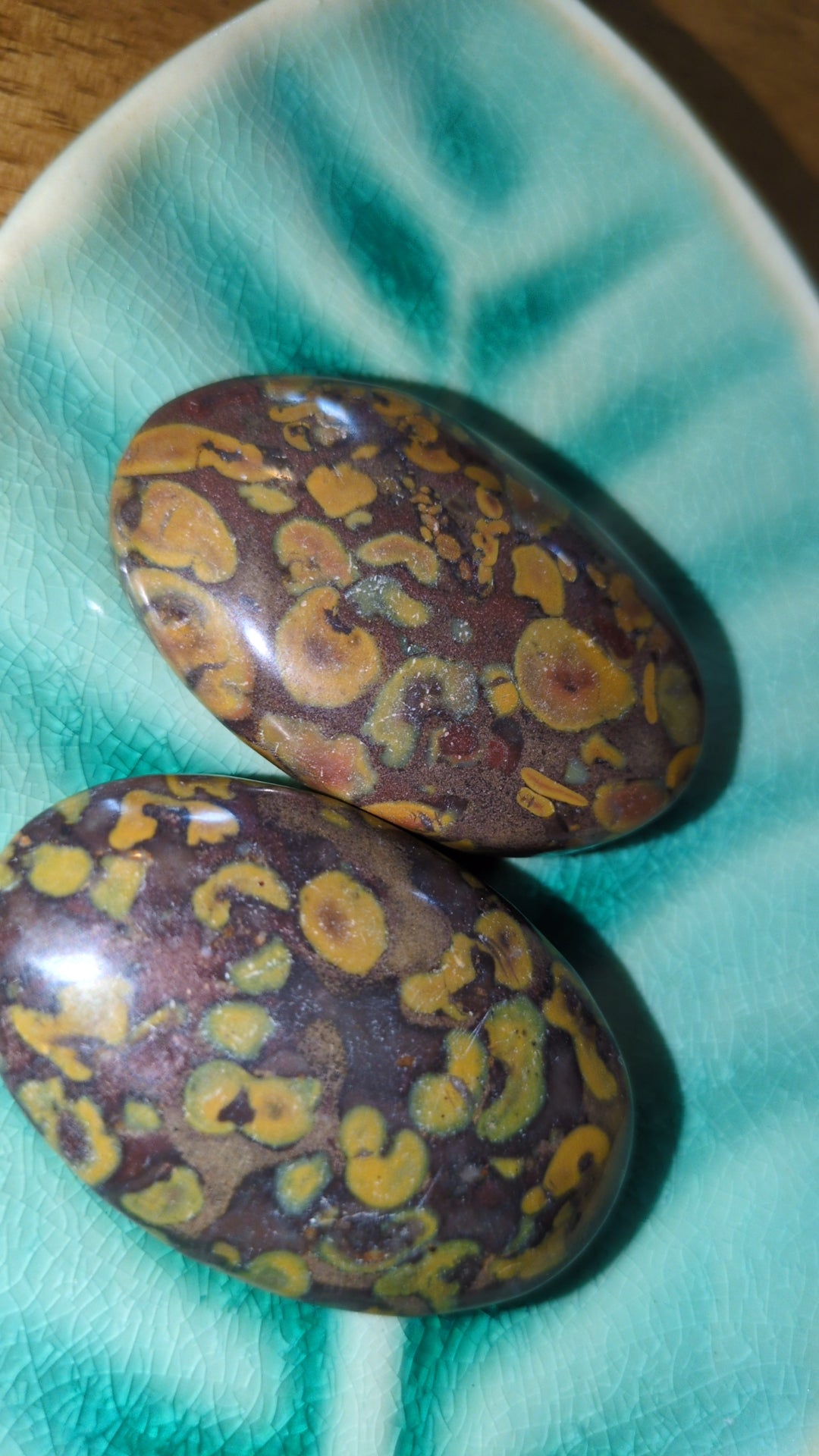 Fruit jasper palms ✨