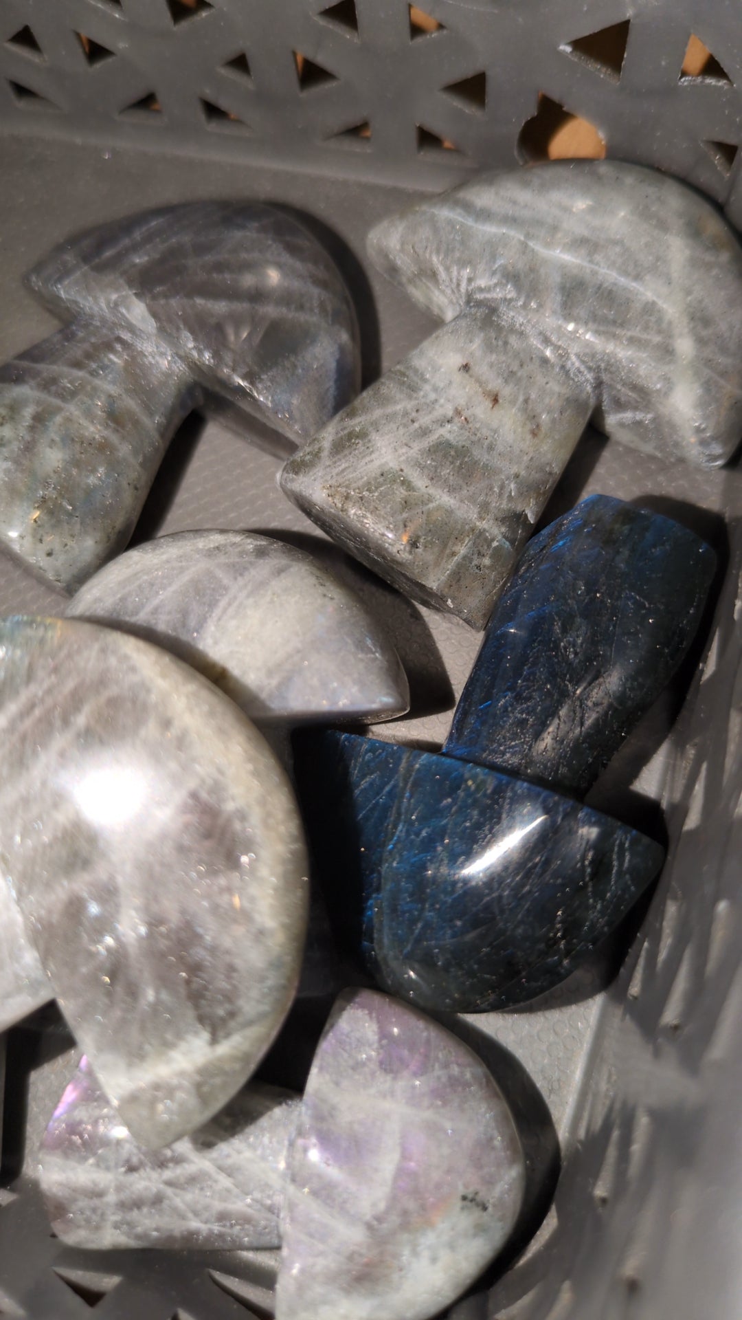 Labradorite mushrooms 🍄