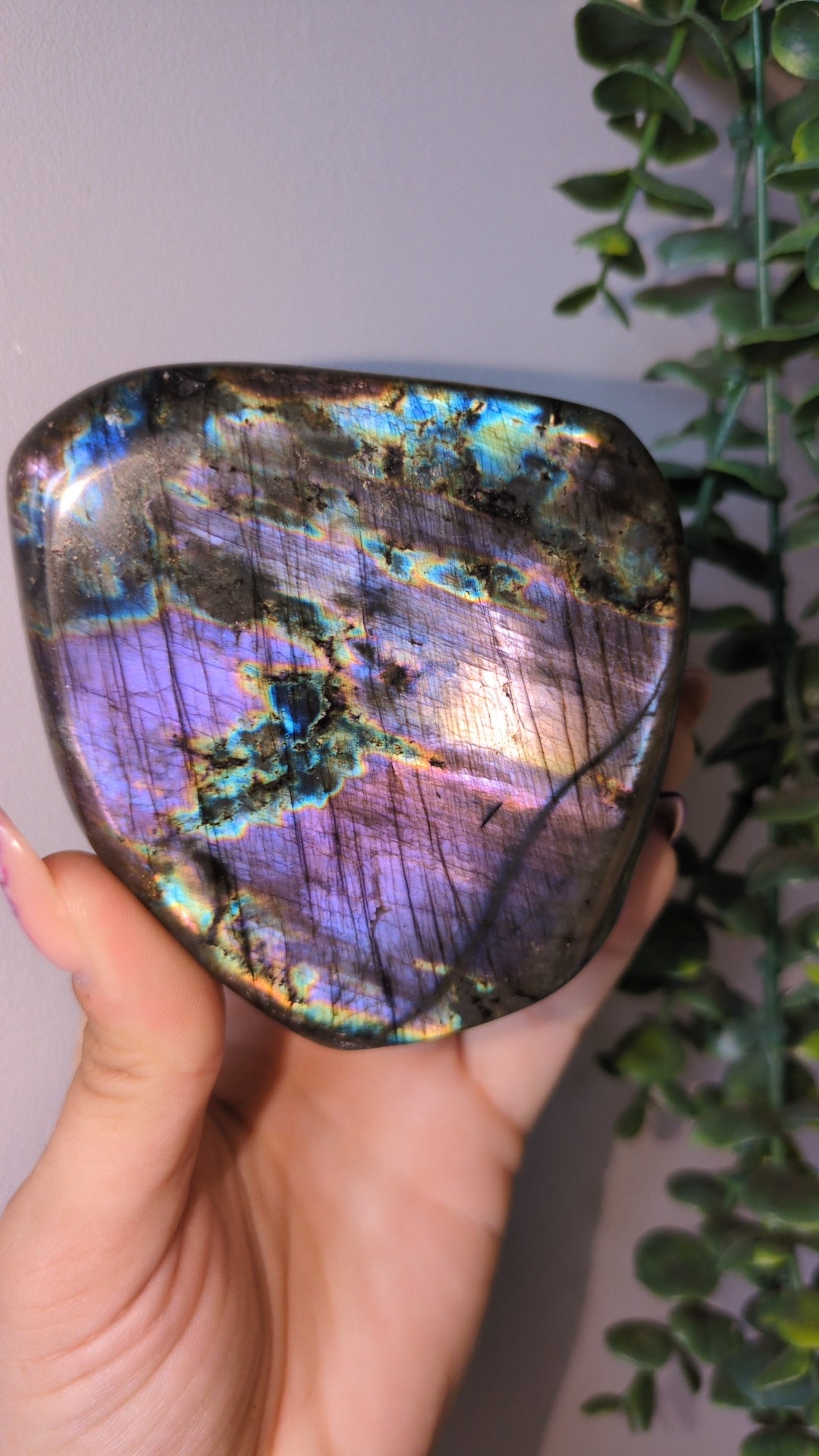 Spectrolite ✨
