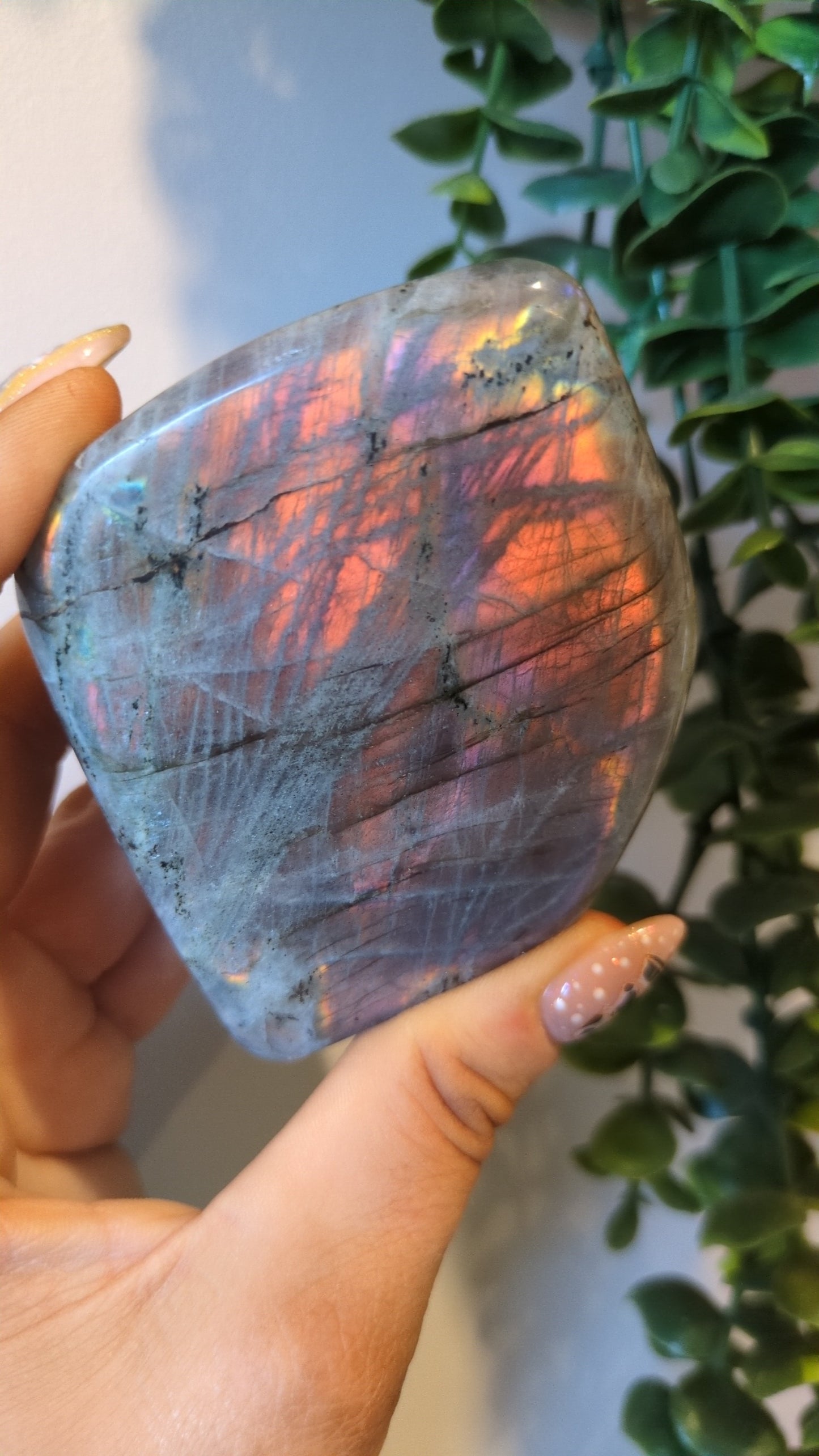 Labradorite freeform ✨ 32