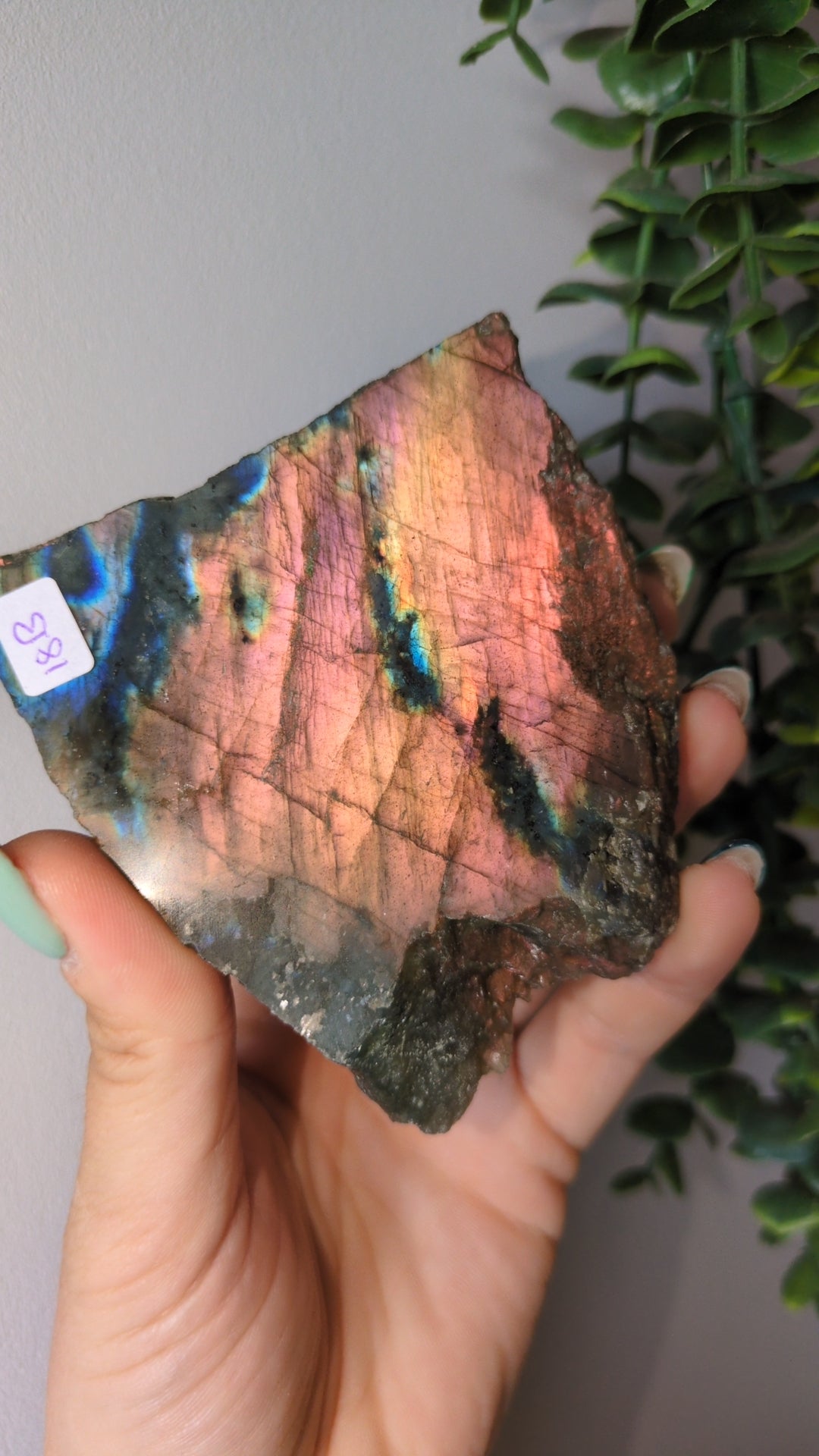Sunset metallic labradorite slab ✨ B