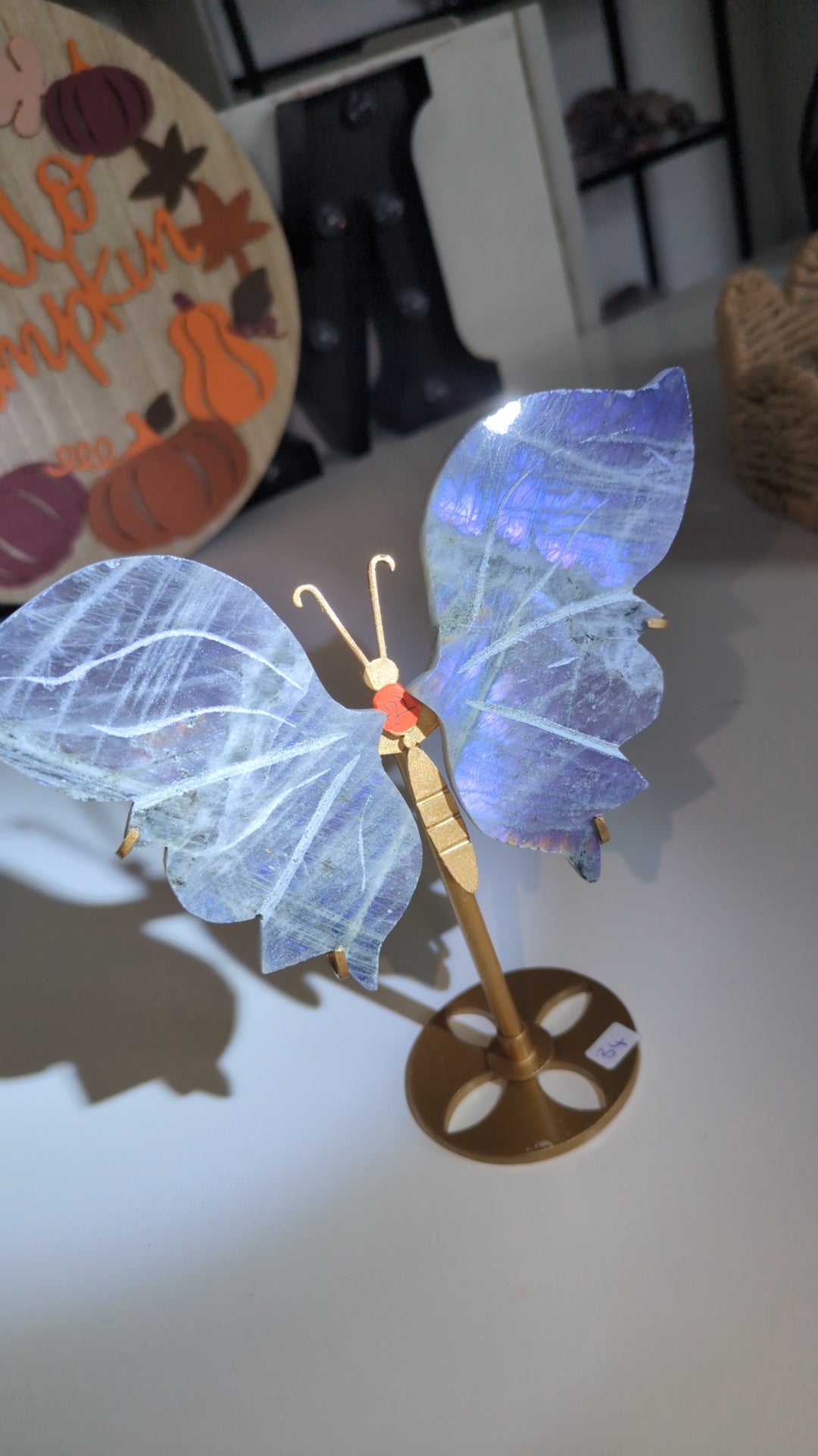 Labradorite wings set ( a22) ✨