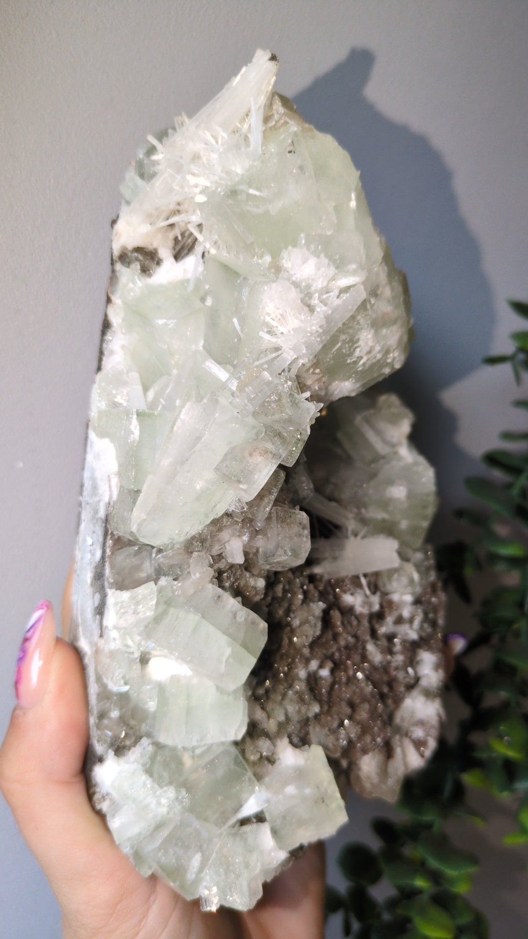 Scolecite Sprayed Apophyllite ✨