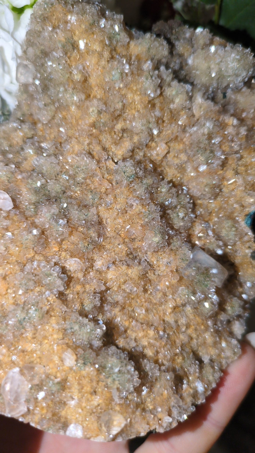 Calcite specimen from India ✨ N