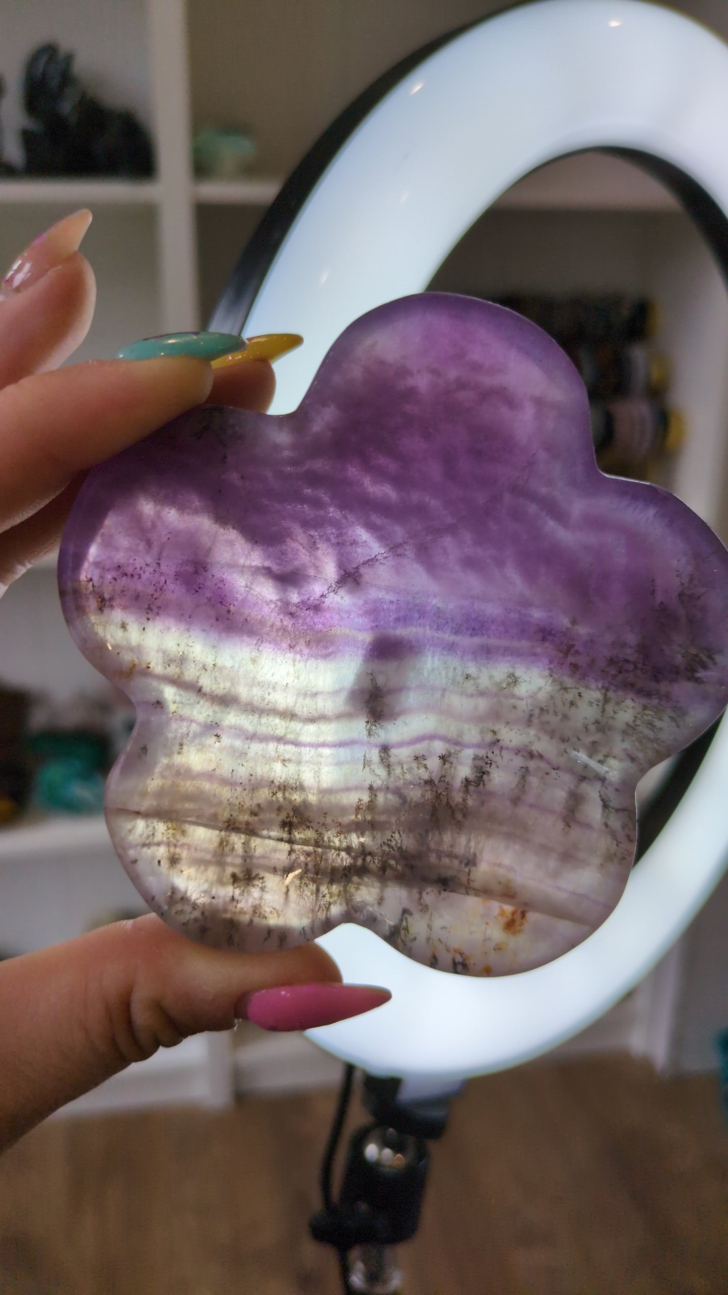 Flourite bowl with dentrite ✨