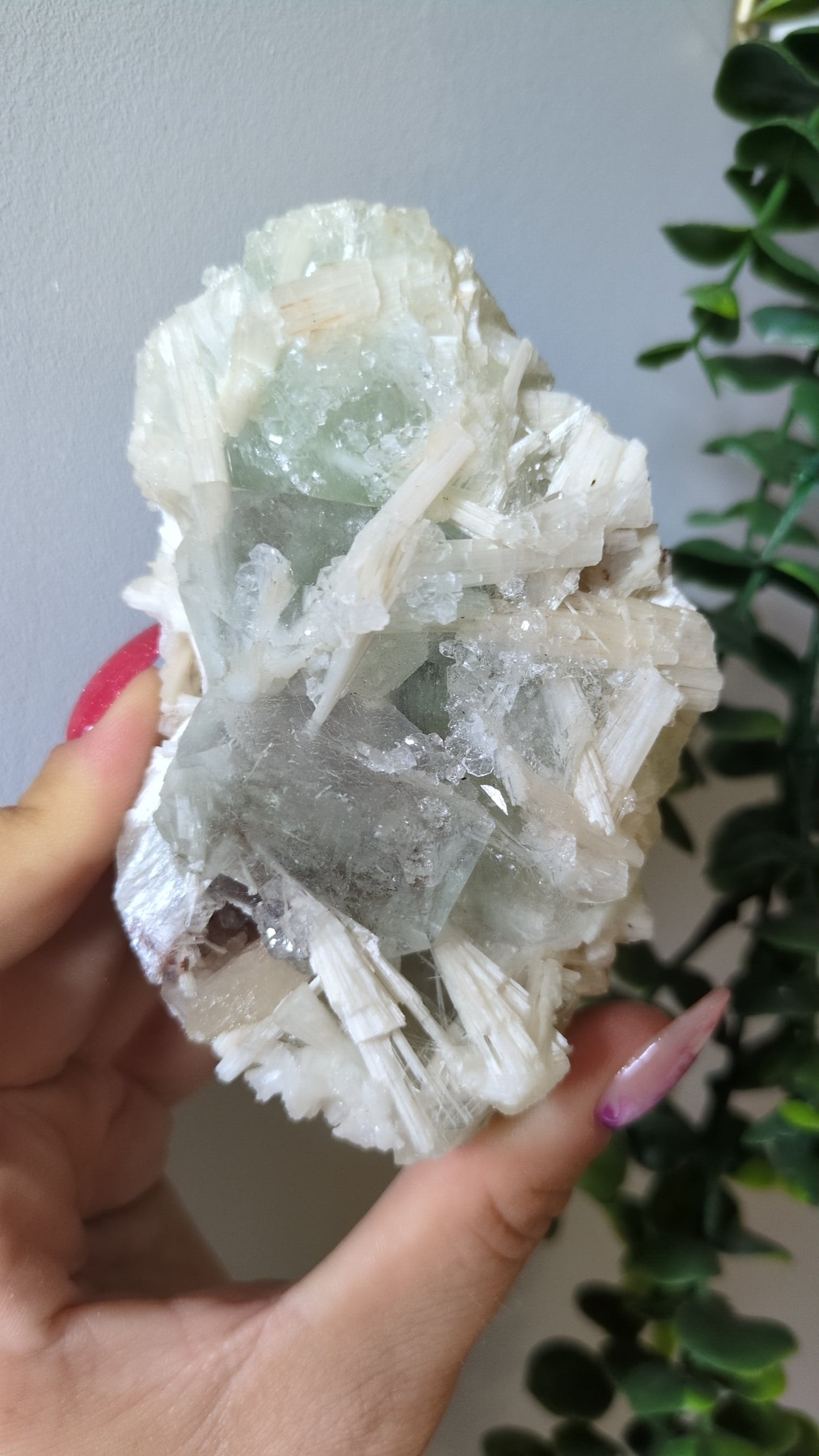 Scolecite Sprayed Apophyllite ✨
