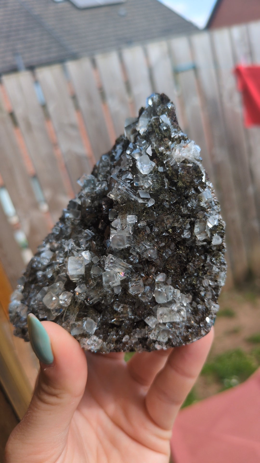 Forest Apophyllite ✨ B