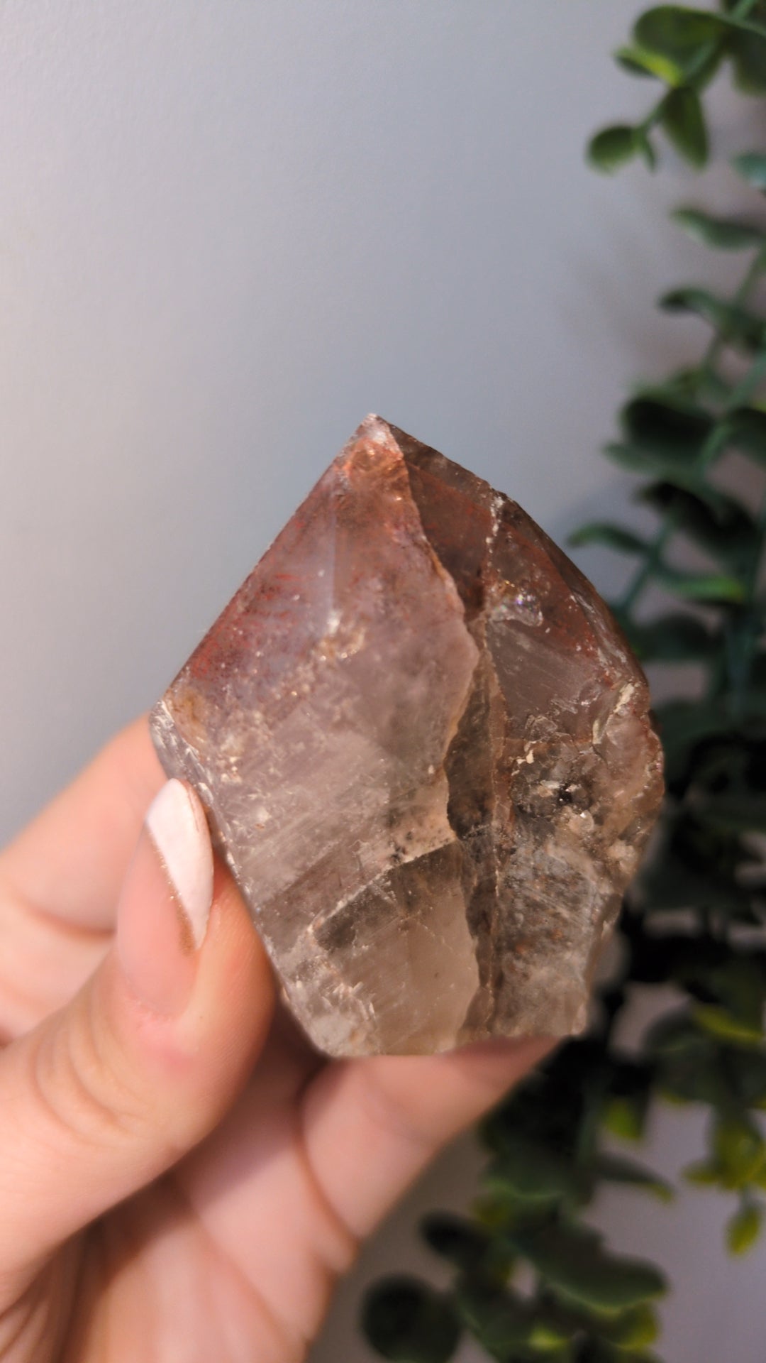 Red scepter Point ✨
