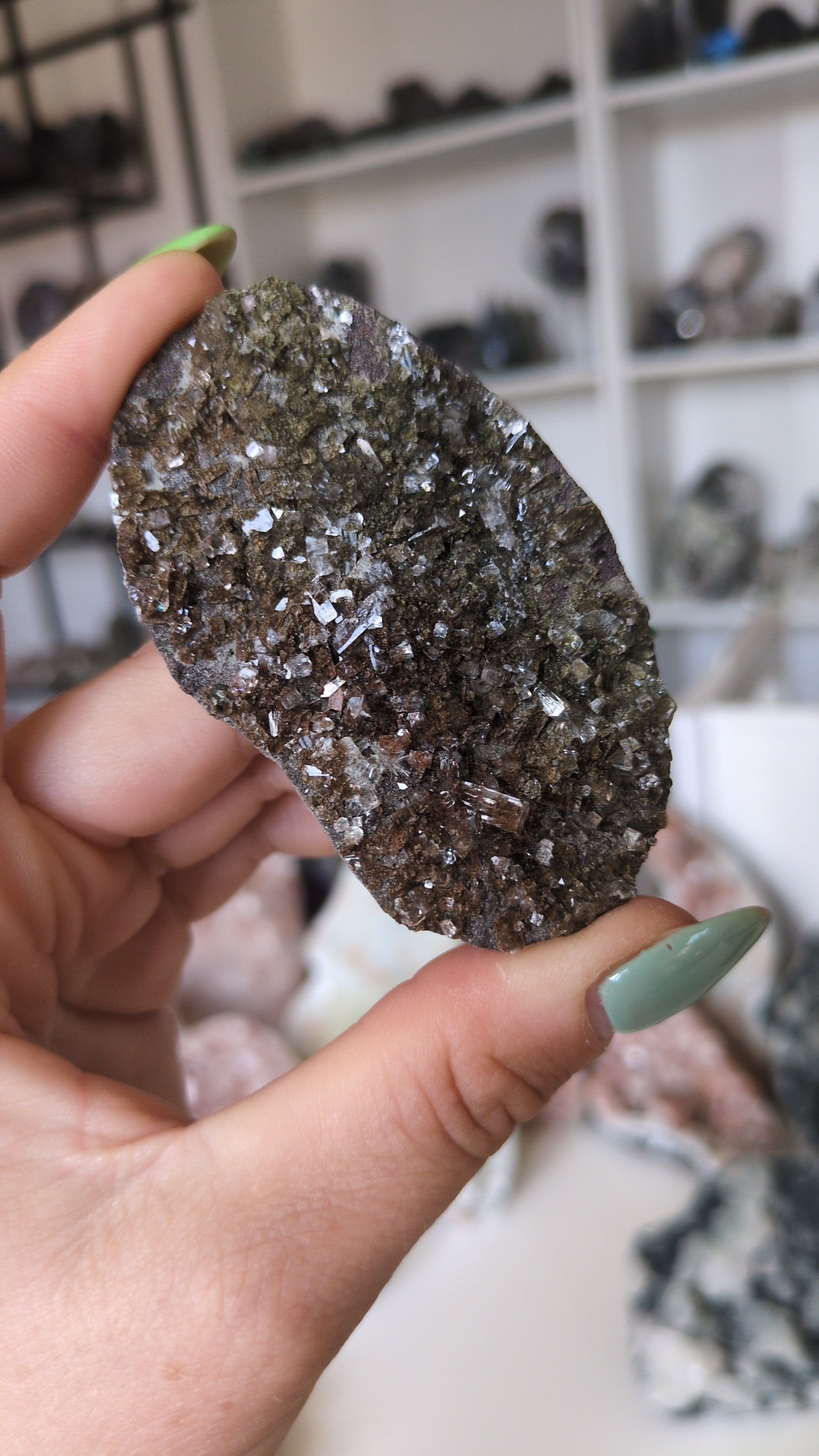 Forest Apophyllite ✨ Y