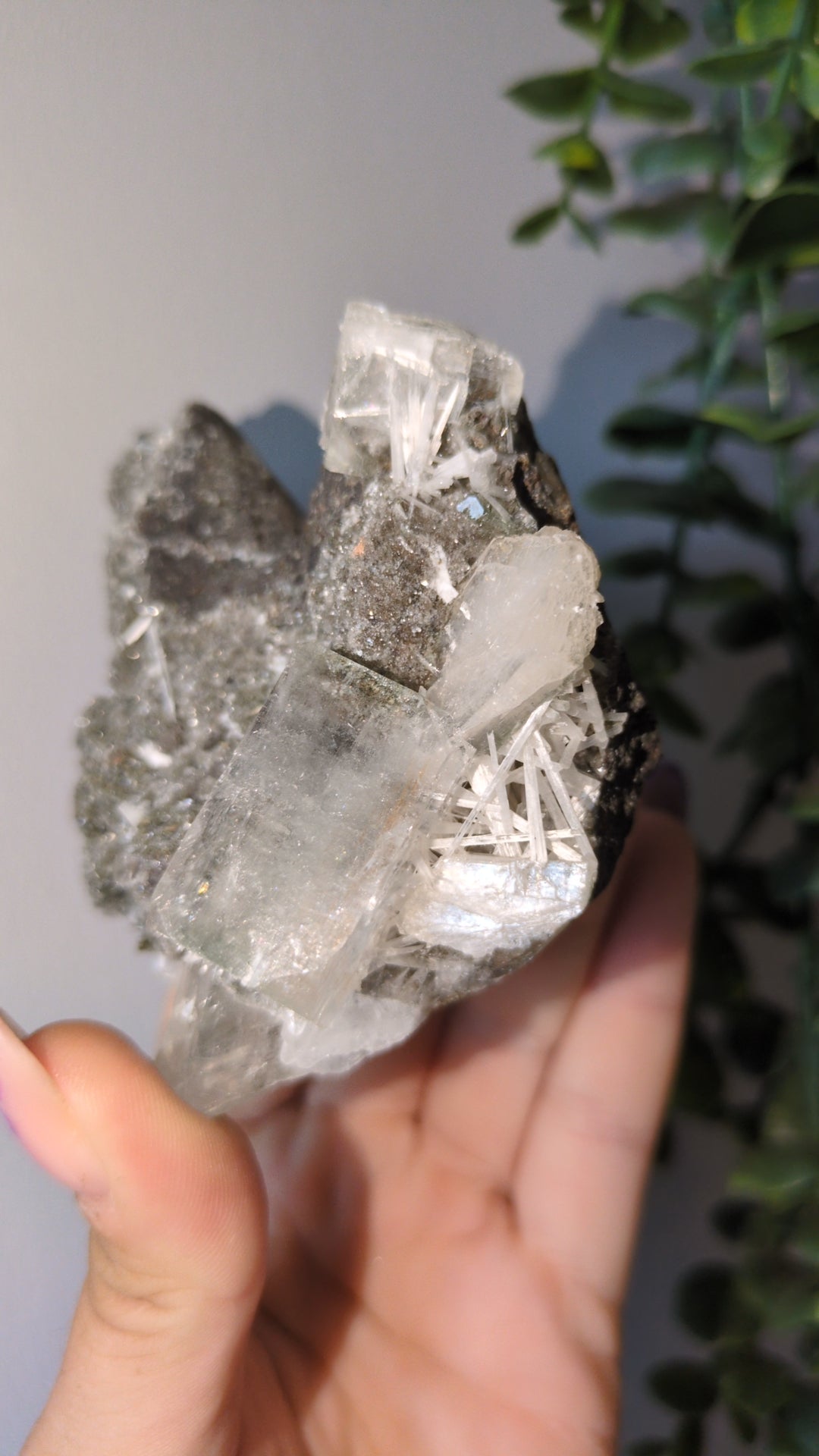 Scolecite Sprayed Apophyllite ✨