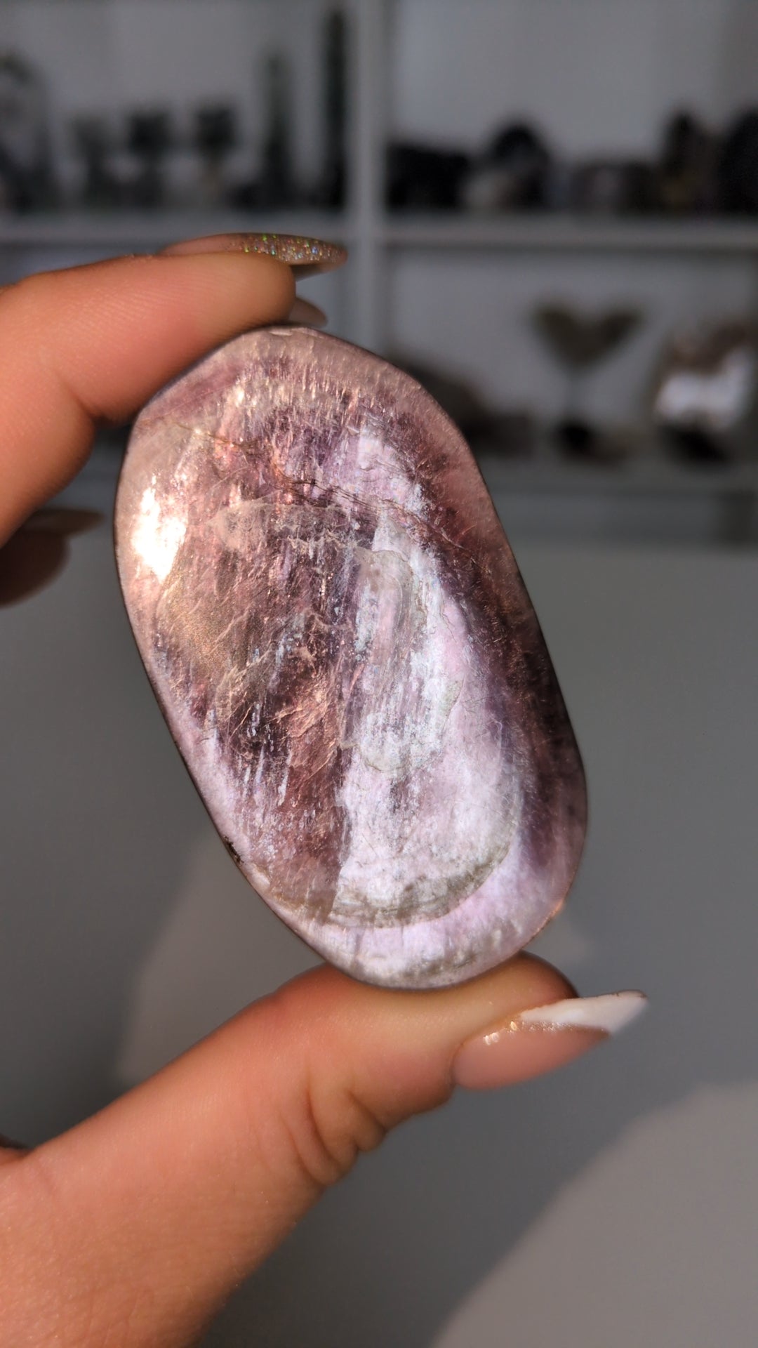 Purple mica palm