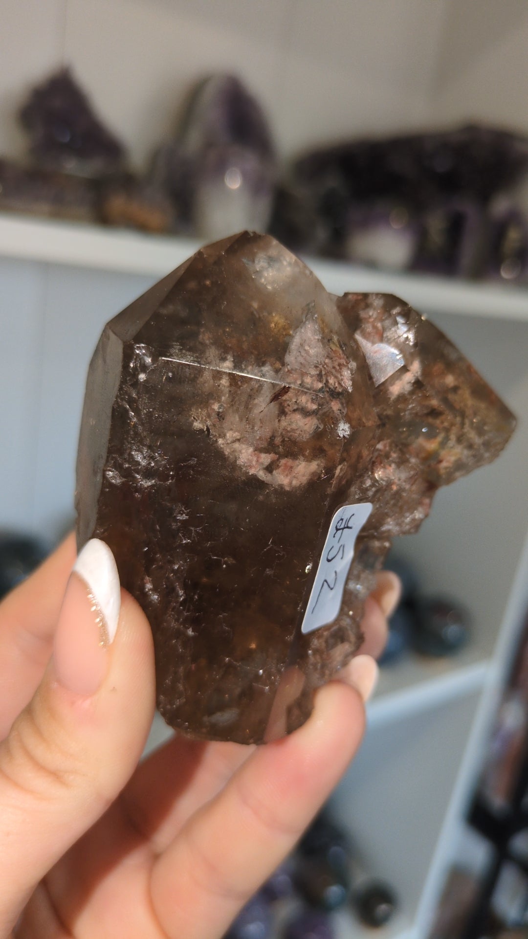 Smokey with lodolite ✨