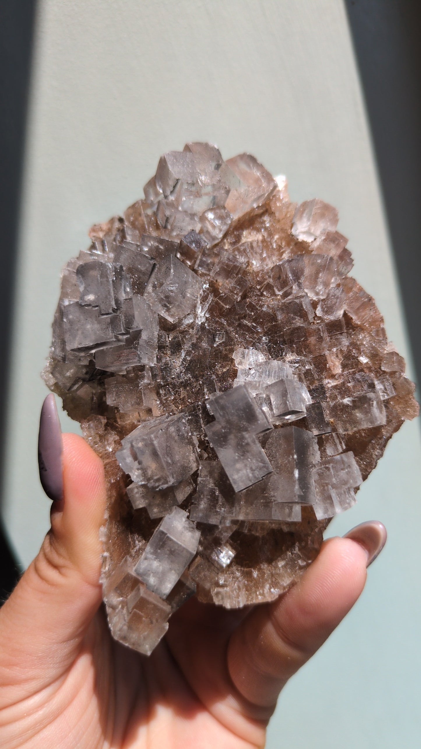 Clear Halite from Morocco (C) ✨