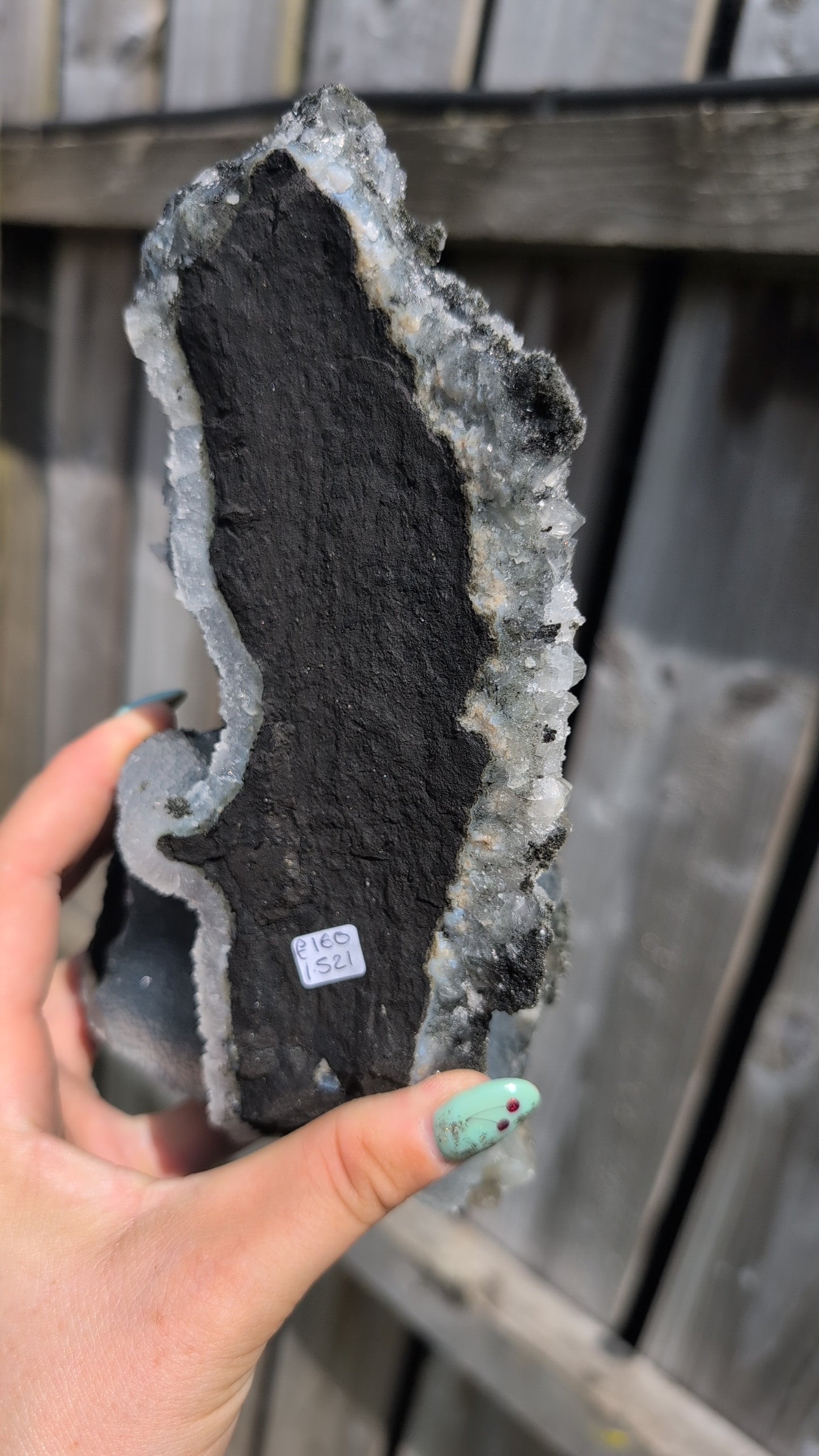 Black forest Apophyllite ✨ T