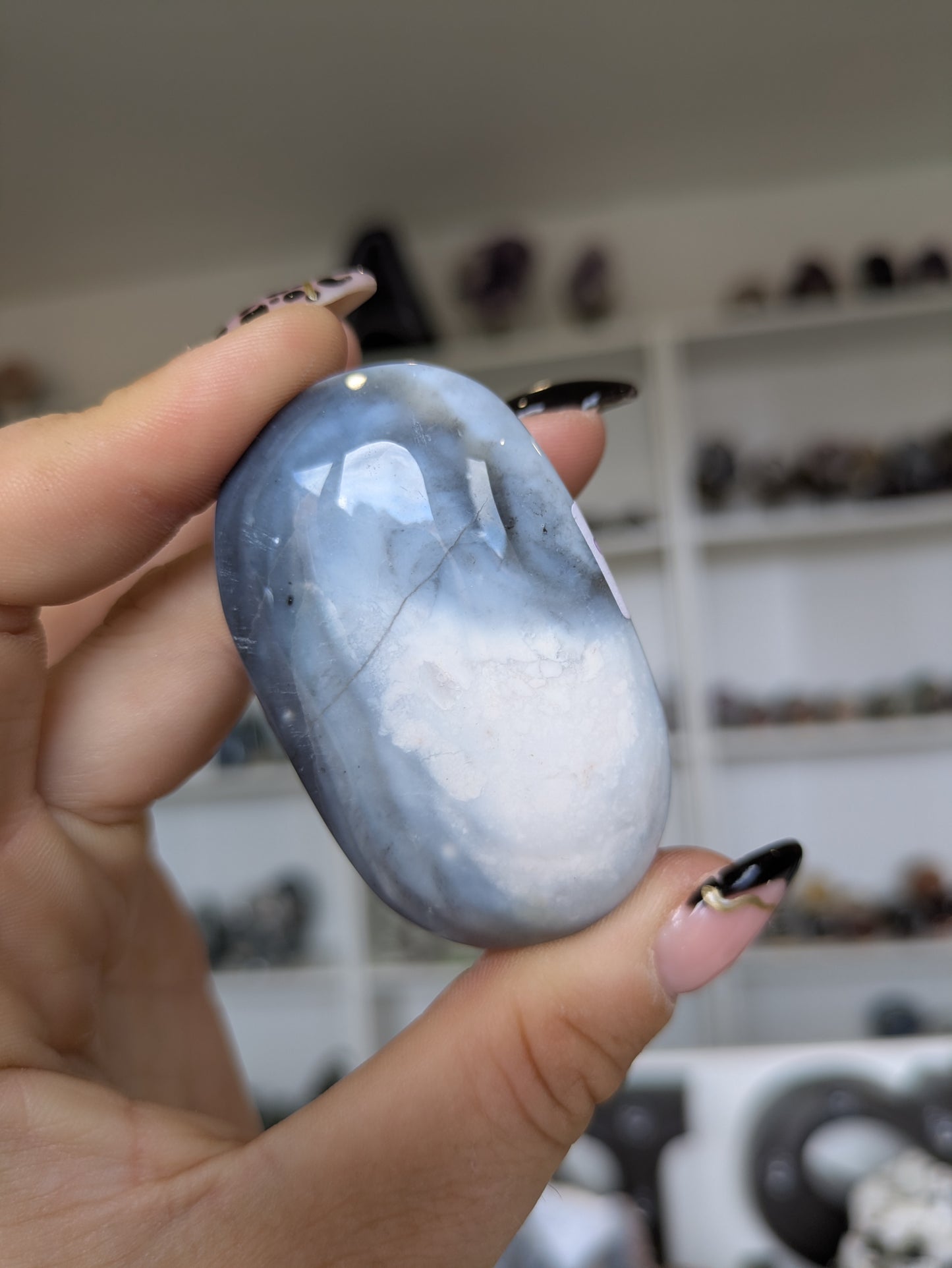 Blue petrified wood palm ✨
