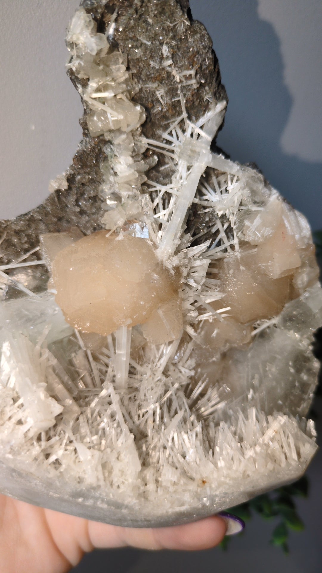 Scolecite Sprayed Apophyllite ✨ B2