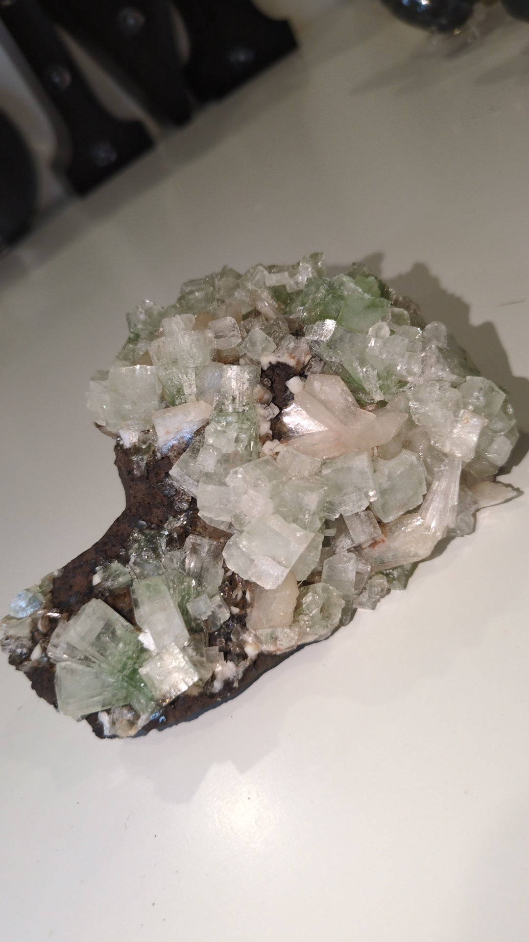 Green disco Apophyllite ✨ H