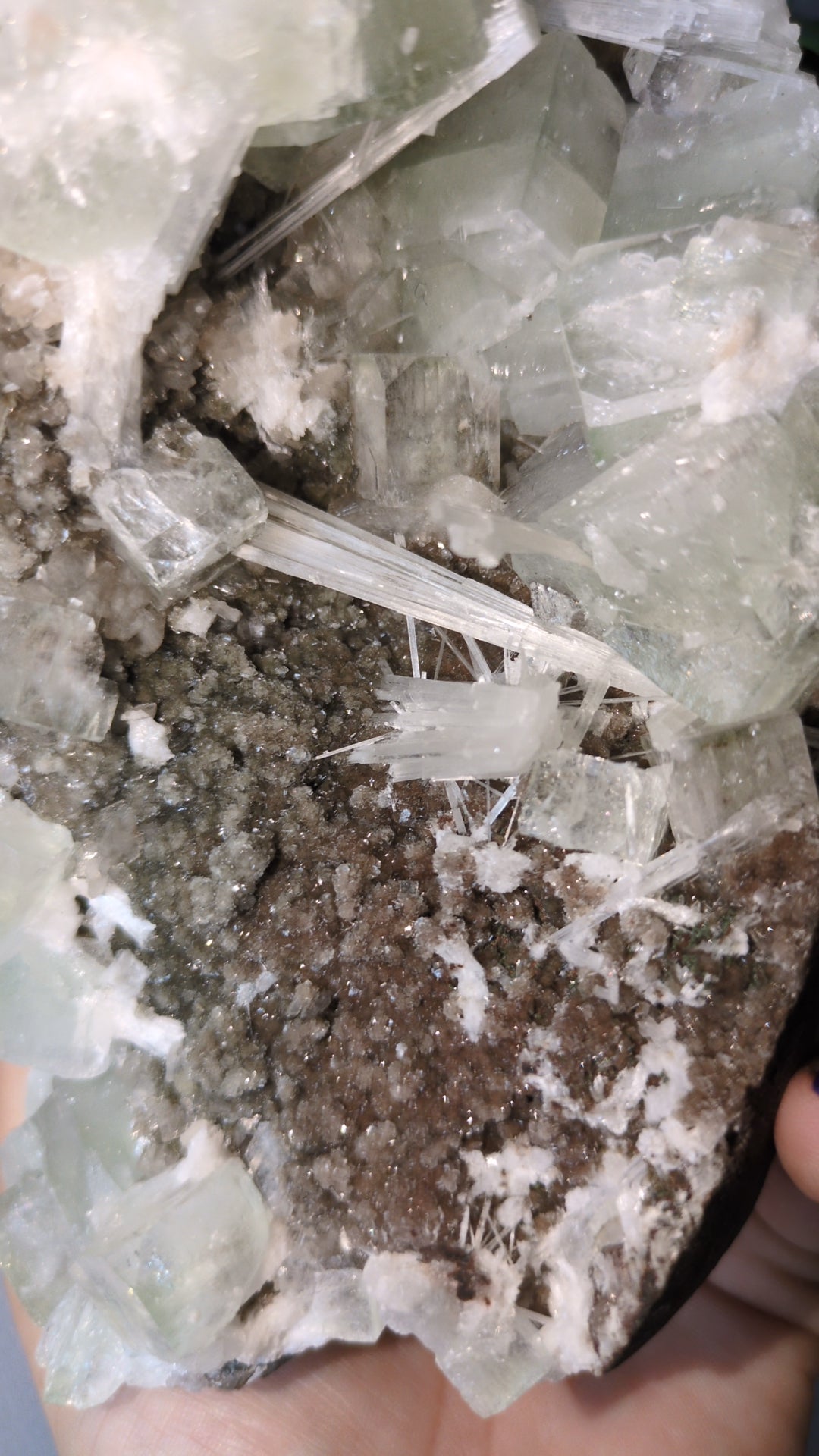 Scolecite Sprayed Apophyllite ✨