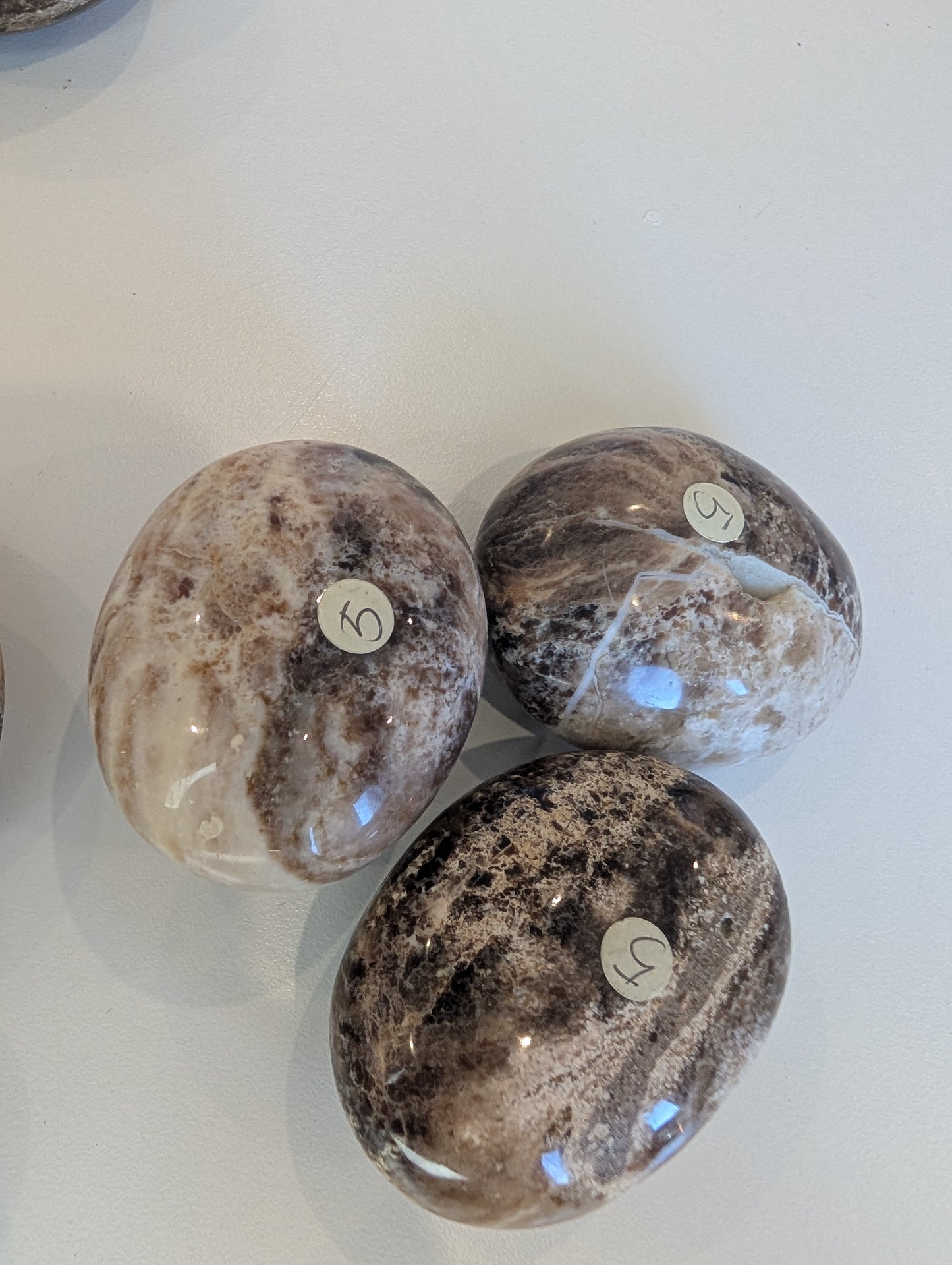 Chocolate calcite palms ✨