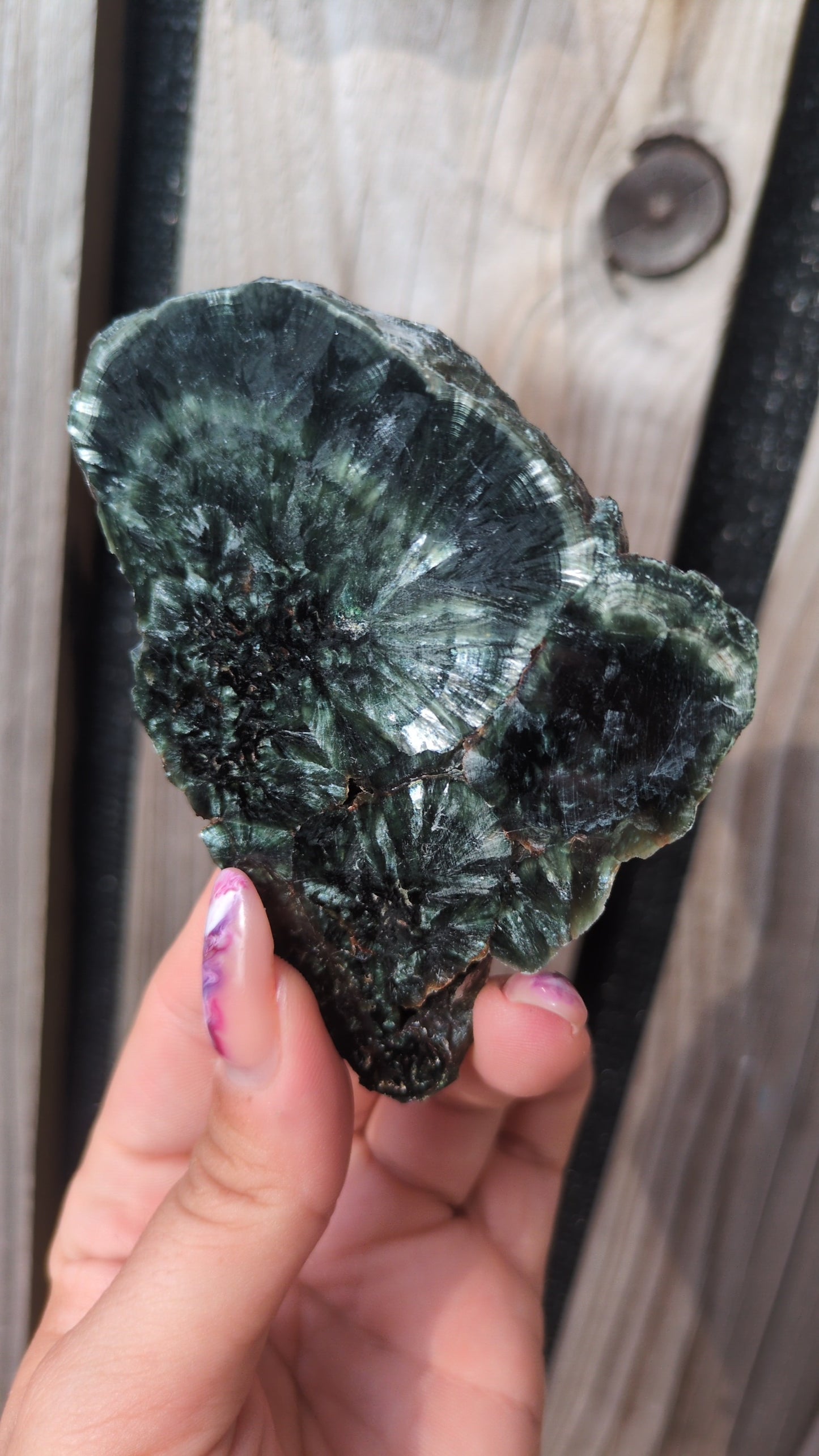 Serephinite/Clinochlore slab ✨