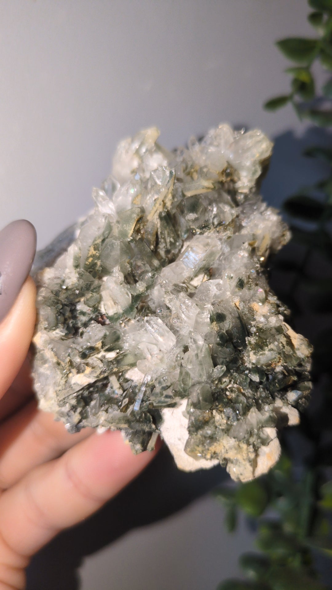Chlorite included quartz ✨
